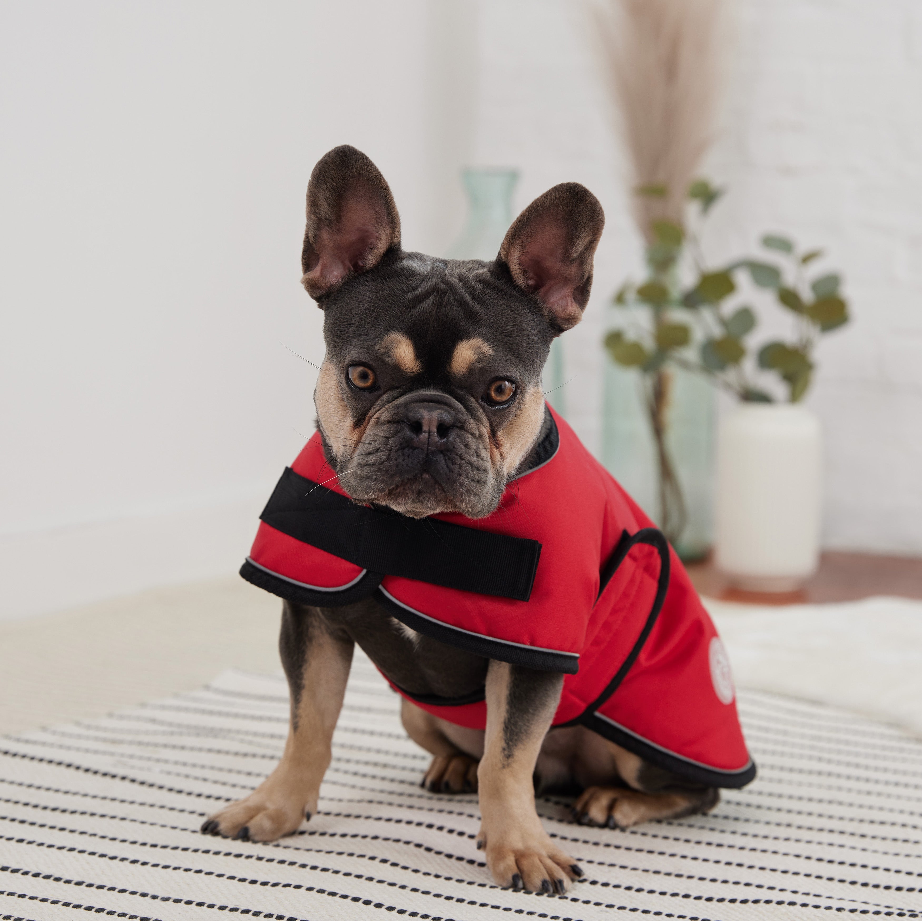 GF PET® Waterproof Blanket Jacket - Red (Polar Fleece Lined & Durable Oxford)
