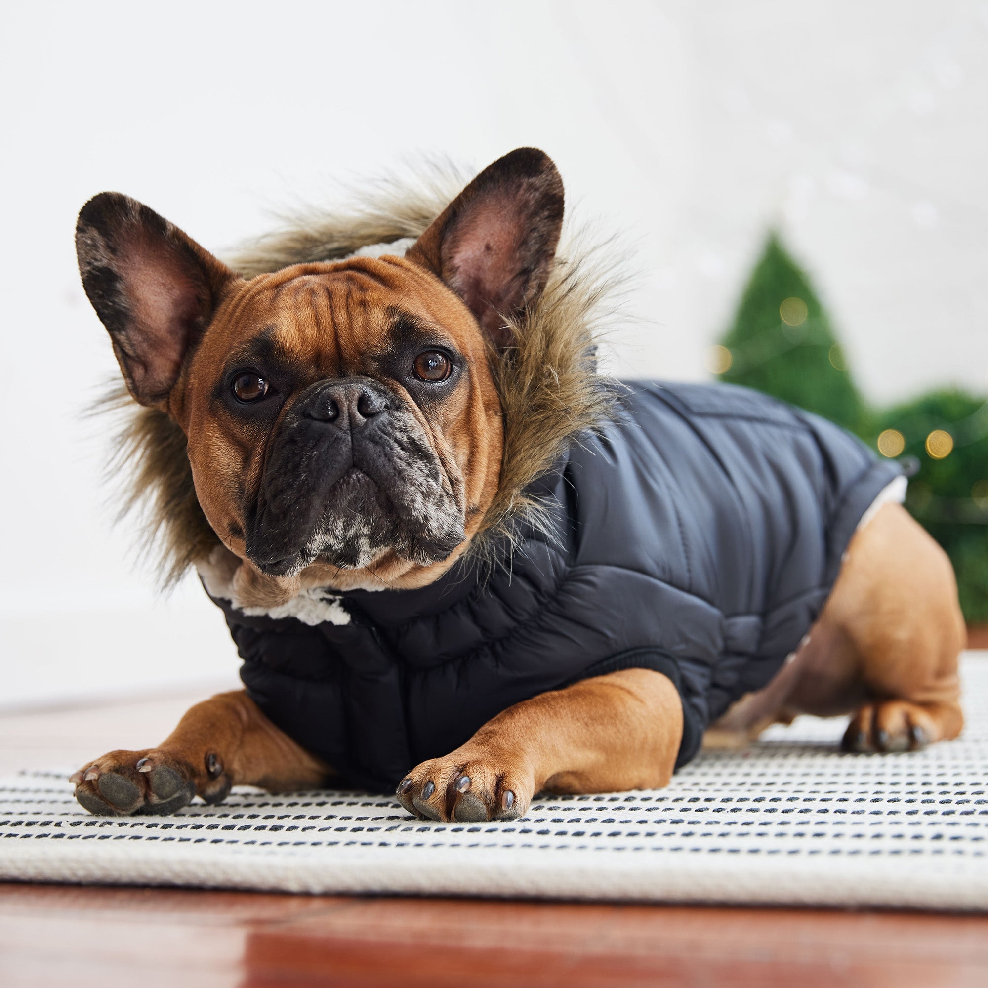 GF PET® Urban Parka - Black (Premium Vegan Fur & Sherpa Lined)