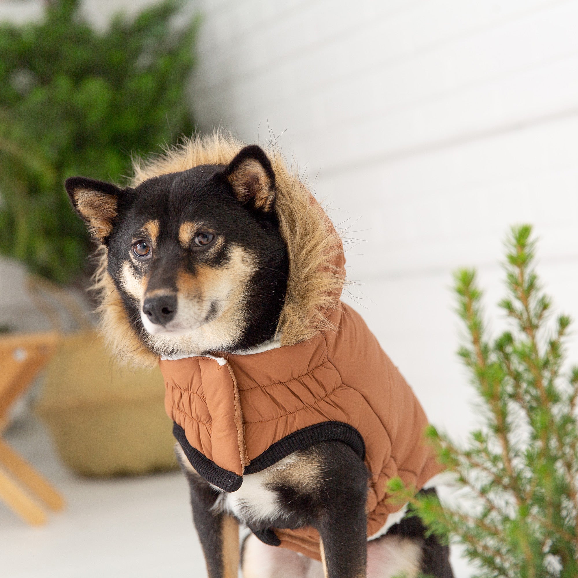 GF PET® Urban Parka - Caramel (Classic Vegan Fur & Sherpa Lined)
