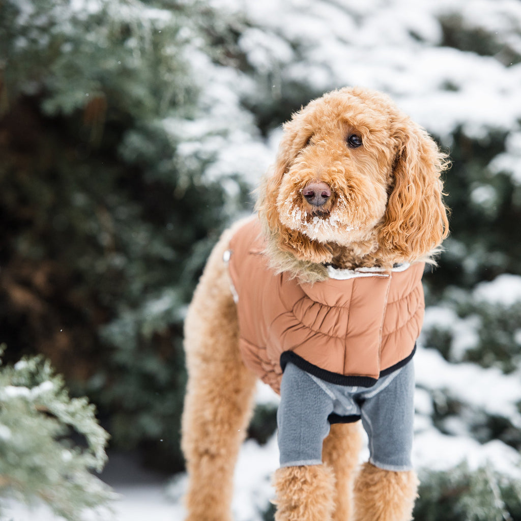 GF PET® Urban Parka - Caramel (Classic Vegan Fur & Sherpa Lined)