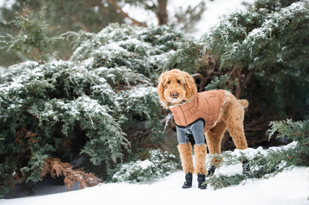 GF PET® Urban Parka - Caramel (Classic Vegan Fur & Sherpa Lined)