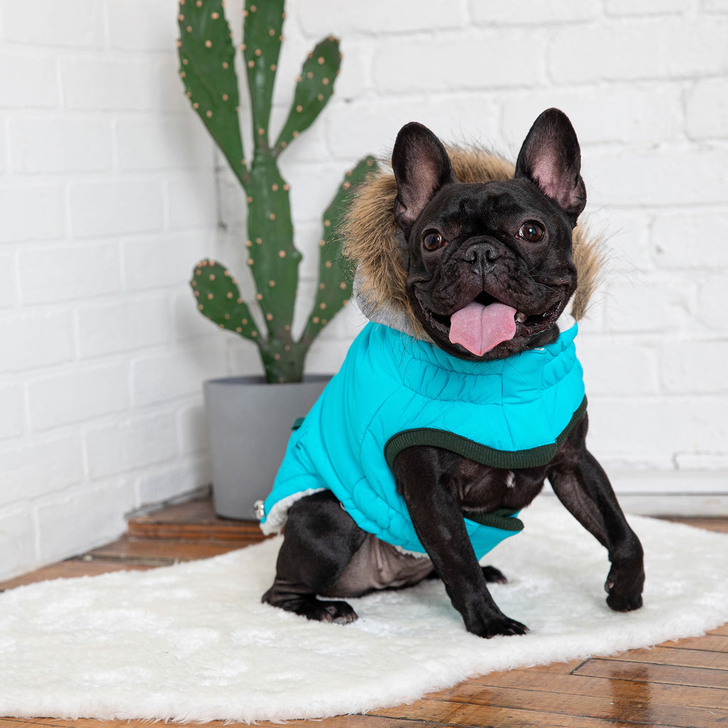 GF PET® Elasto-Fit Winter Sailor Parka - Aqua (Vegan Fur Trimmed Hood)