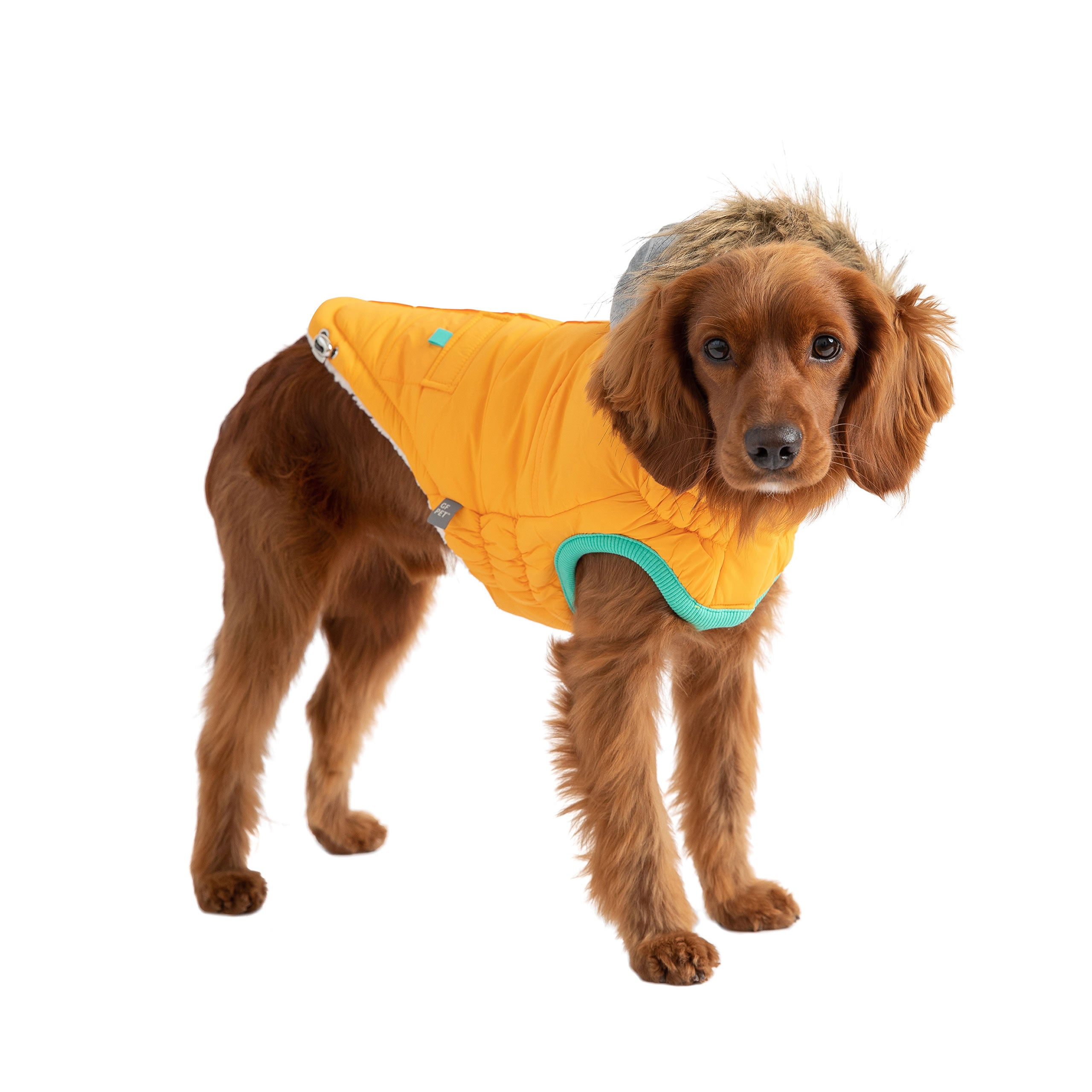 GF PET® Elasto-Fit Winter Sailor Parka - Yellow (Classic Nautical Style)