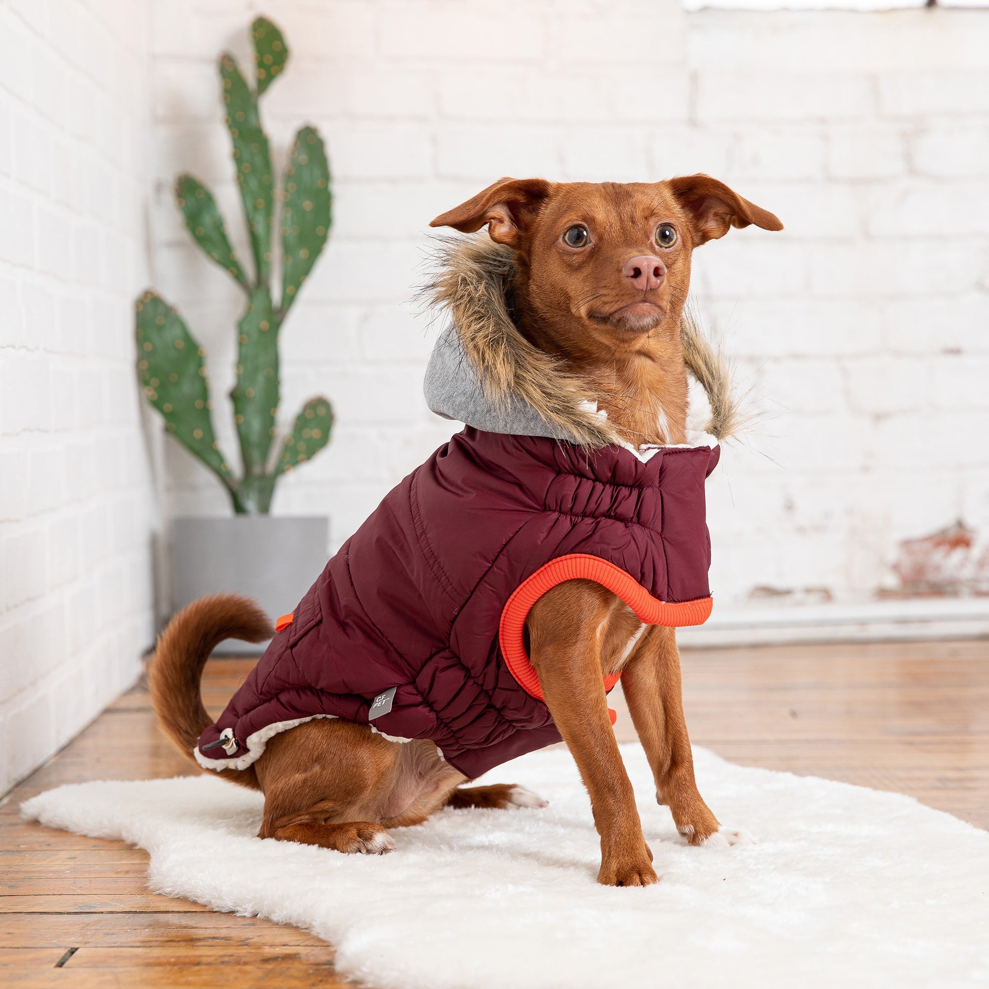 GF PET® Elasto-Fit Winter Sailor Parka - Burgundy (Sophisticated Winter Style)