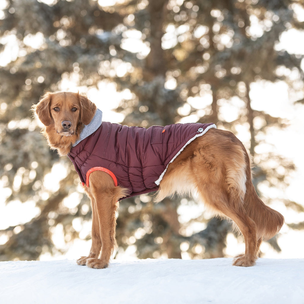 GF PET® Elasto-Fit Winter Sailor Parka - Burgundy (Sophisticated Winter Style)
