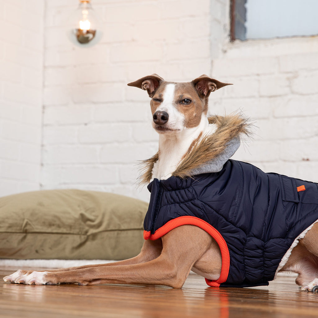 GF PET® Elasto-Fit Winter Sailor Parka - Navy (Timeless Nautical Design)