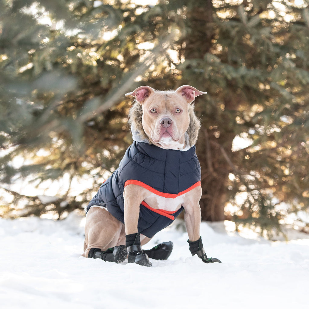 GF PET® Elasto-Fit Winter Sailor Parka - Navy (Timeless Nautical Design)