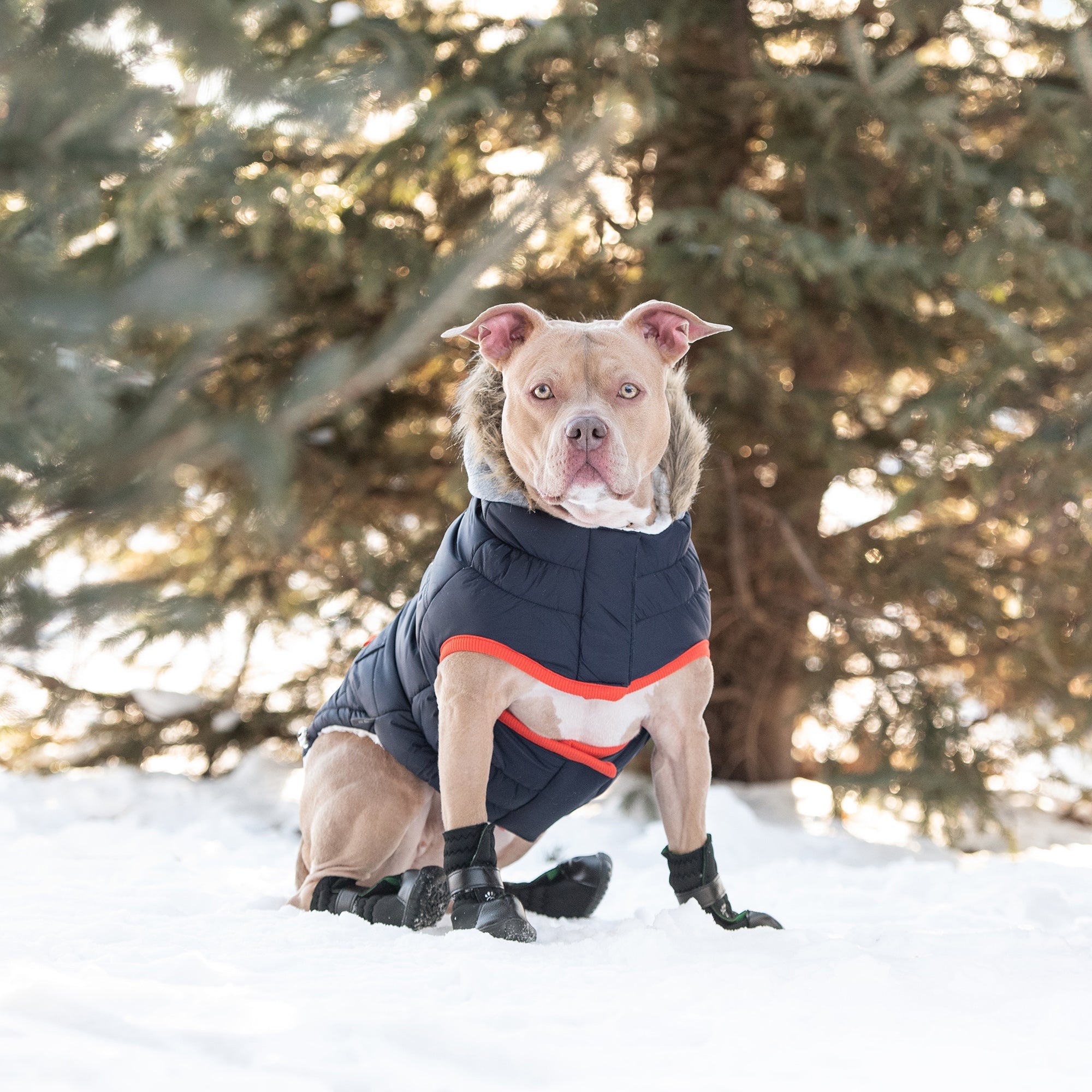 GF PET® Elasto-Fit Winter Sailor Parka - Navy (Timeless Nautical Design)