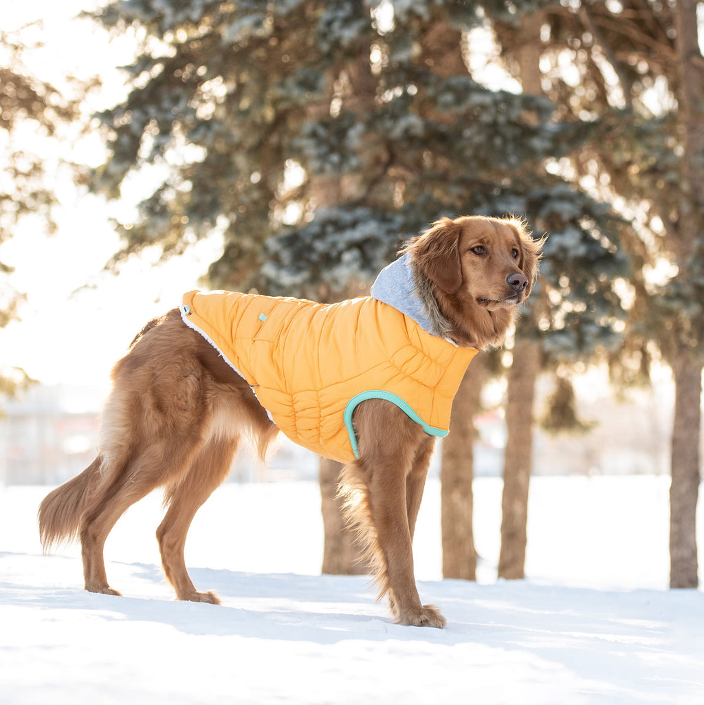 GF PET® Elasto-Fit Winter Sailor Parka - Yellow (Classic Nautical Style)
