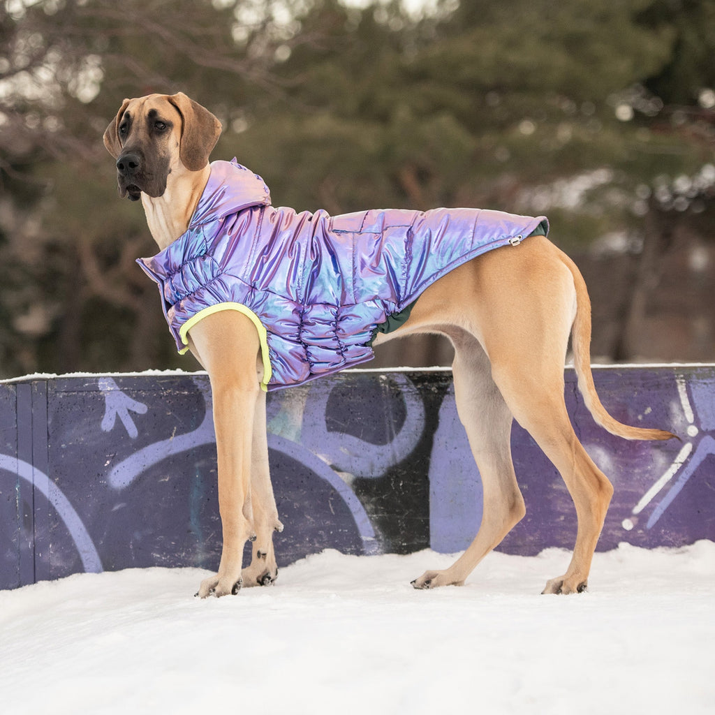 GF PET® Eco-Friendly Recycled Parka - Iridescent (Sustainable Style)