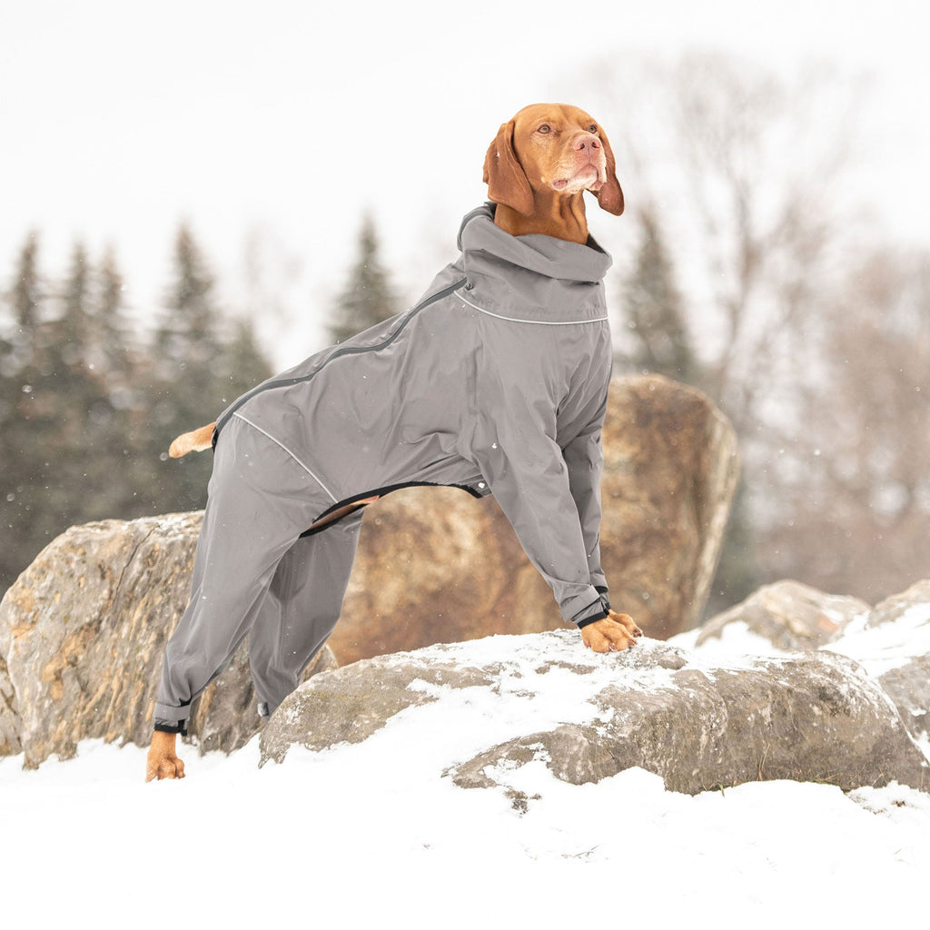 GF PET® Full Body Splash Suit - Charcoal (Waterproof All-in-One Rain Suit)