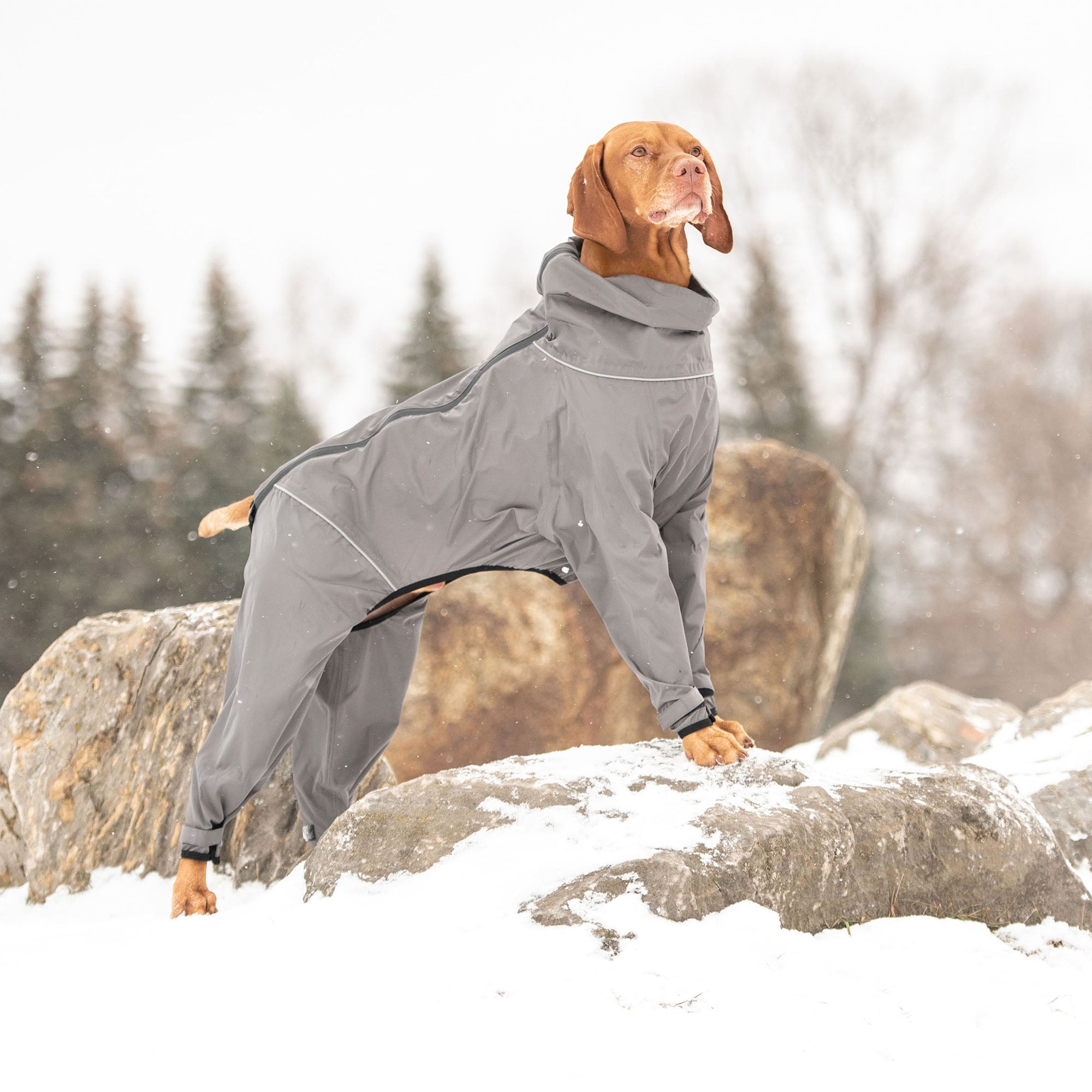 GF PET® Full Body Splash Suit - Charcoal (Waterproof All-in-One Rain Suit)