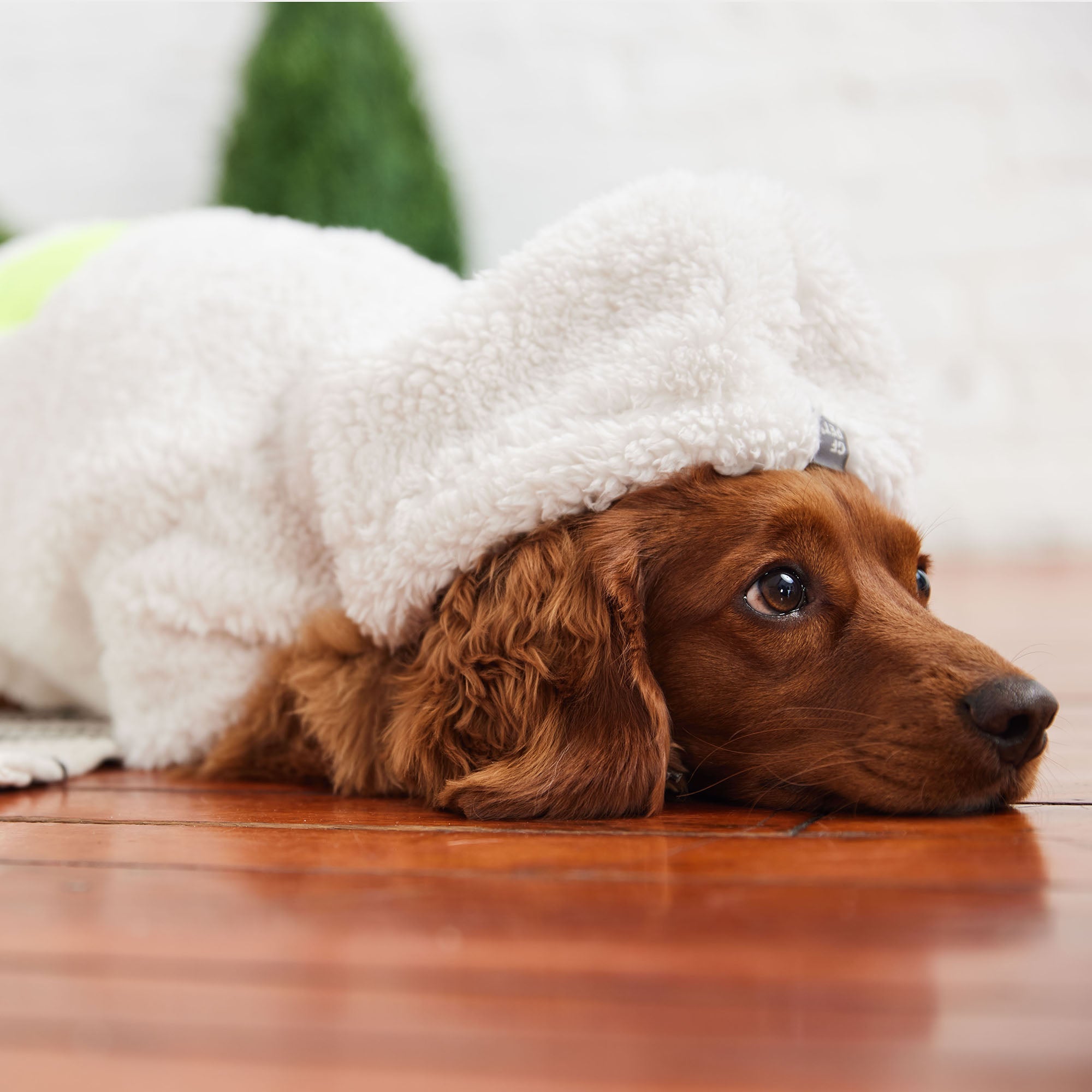 GF PET® Cozy Sherpa Hoodie - White (Ultra-Soft Cloud Fleece)