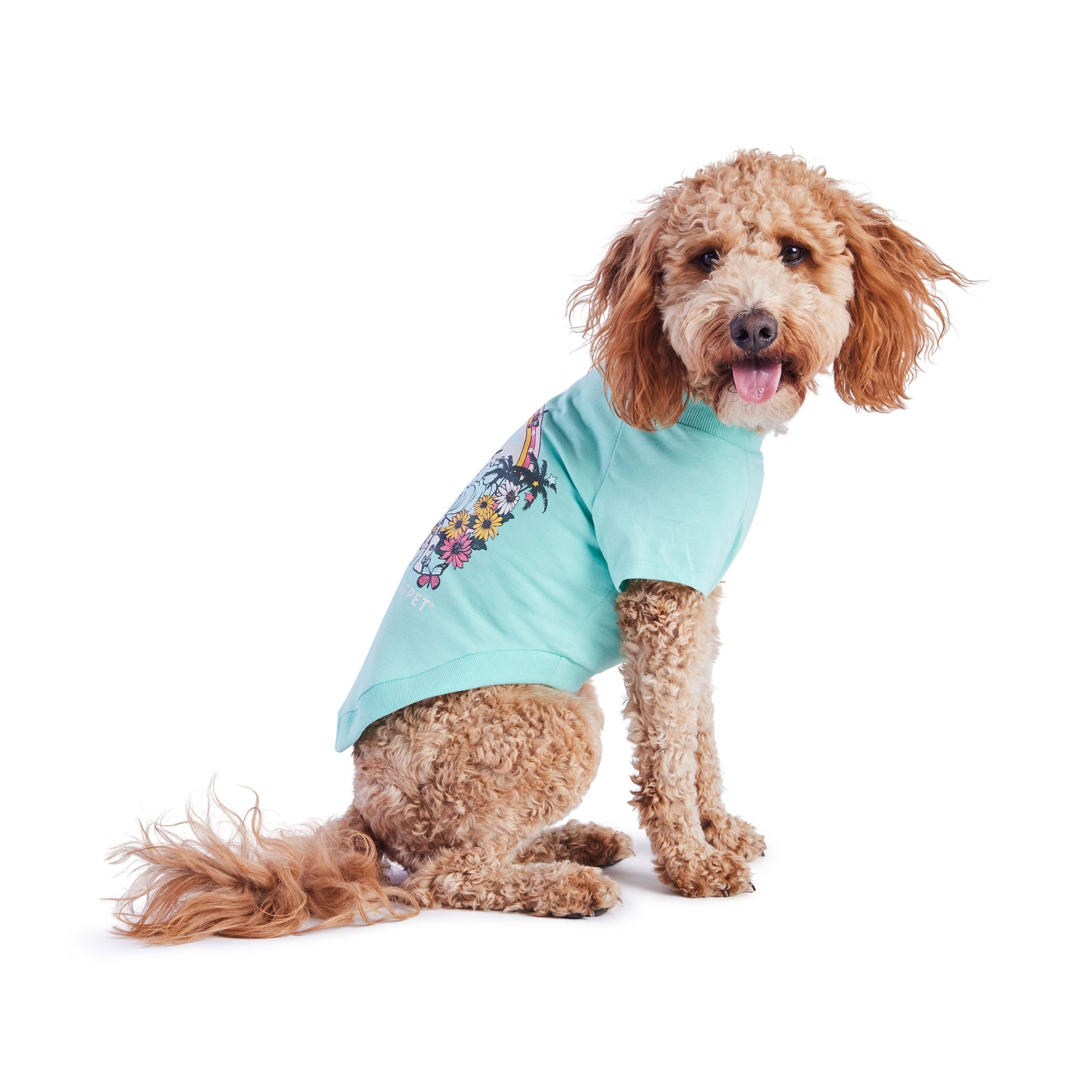 GF PET® Vintage Graphic Tee - Aqua (Sporty Sun Protection Layer)