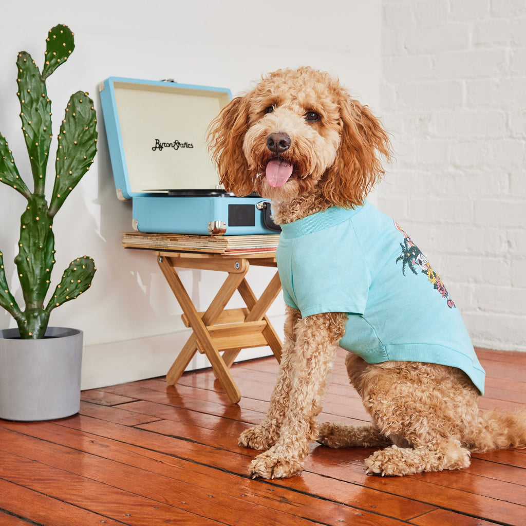 GF PET® Vintage Graphic Tee - Aqua (Sporty Sun Protection Layer)