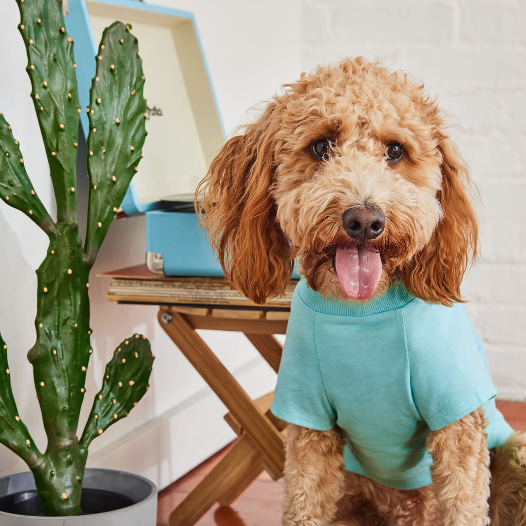 GF PET® Vintage Graphic Tee - Aqua (Sporty Sun Protection Layer)