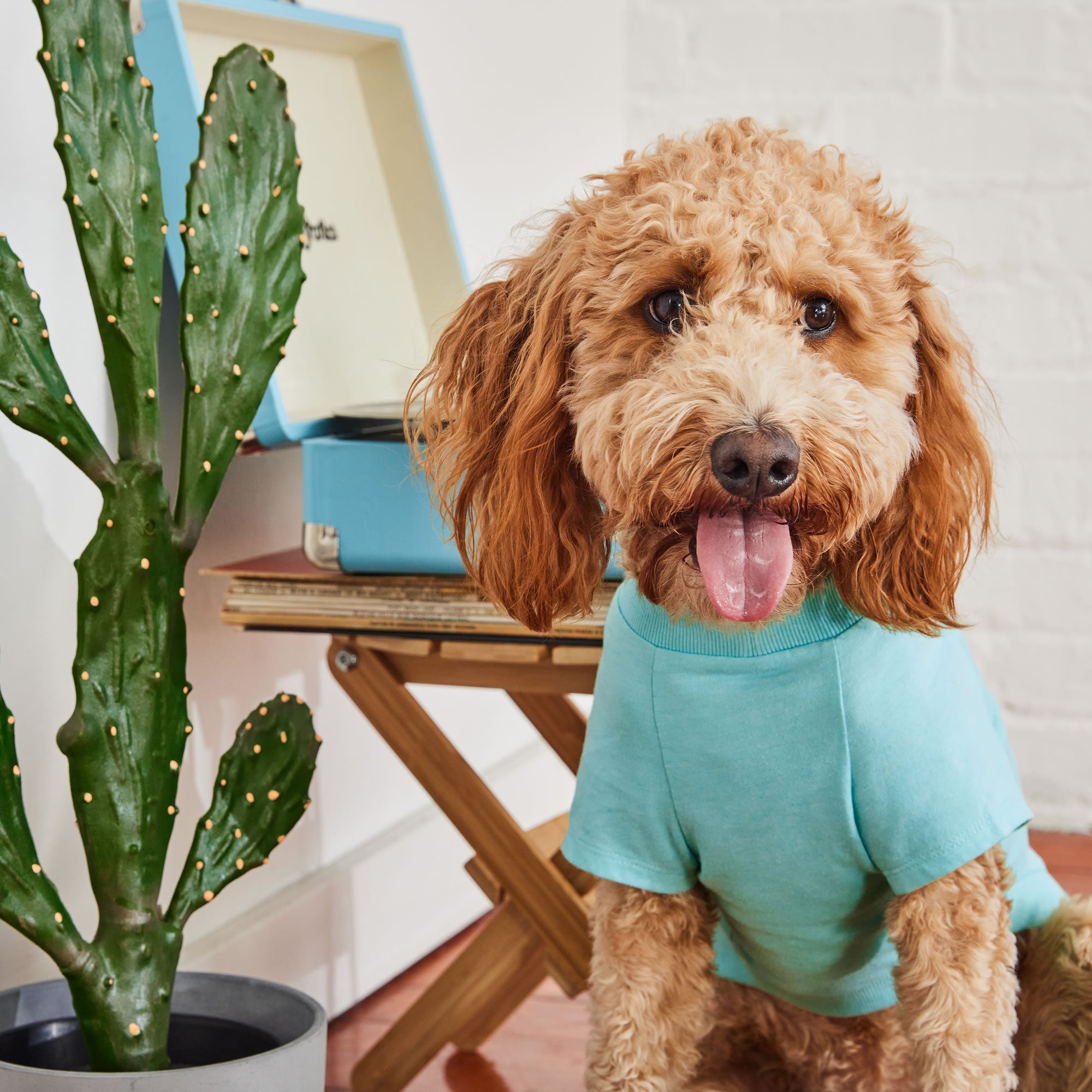 GF PET® Vintage Graphic Tee - Aqua (Sporty Sun Protection Layer)