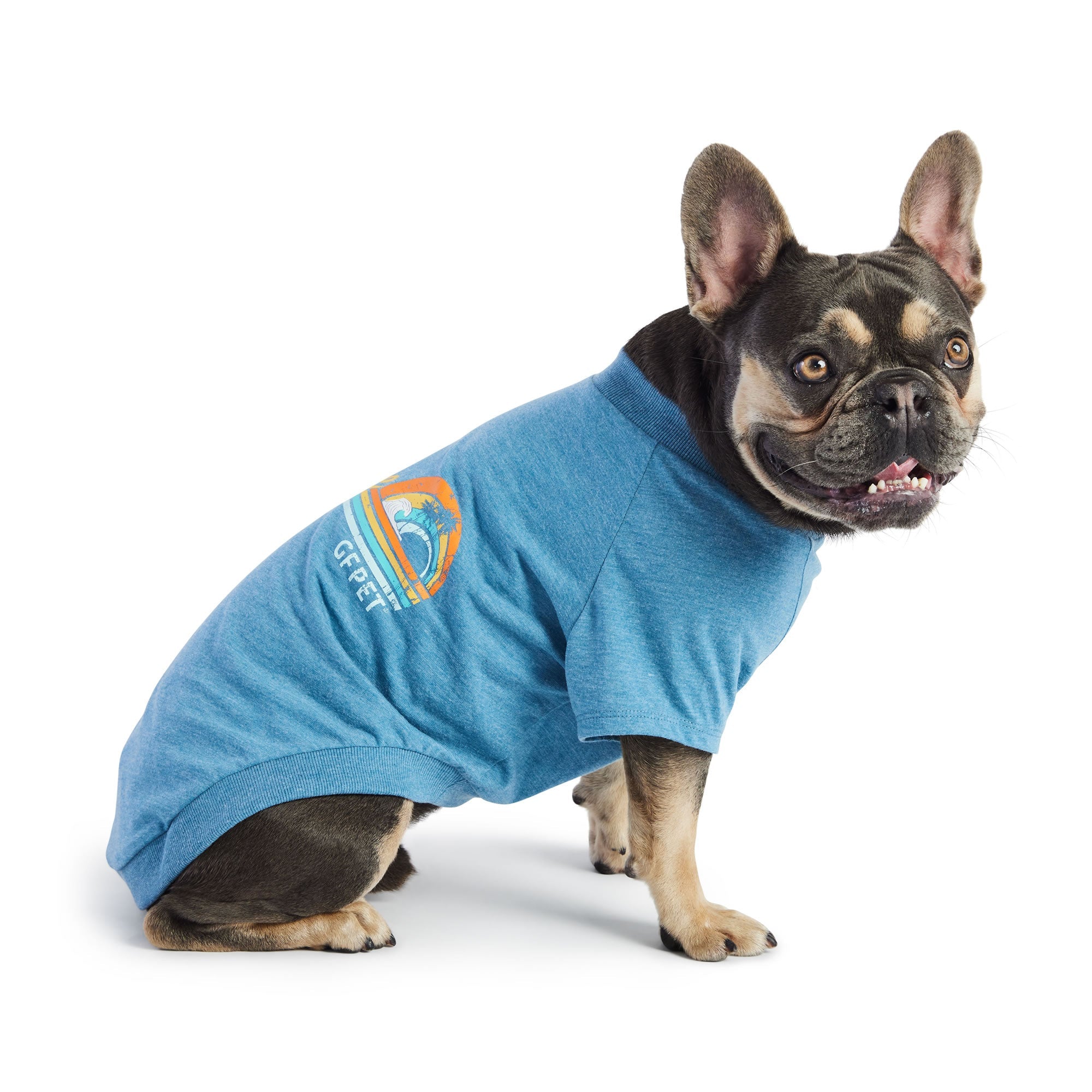 GF PET® Vintage Graphic Tee - Blue (Sporty Summer Base Layer)