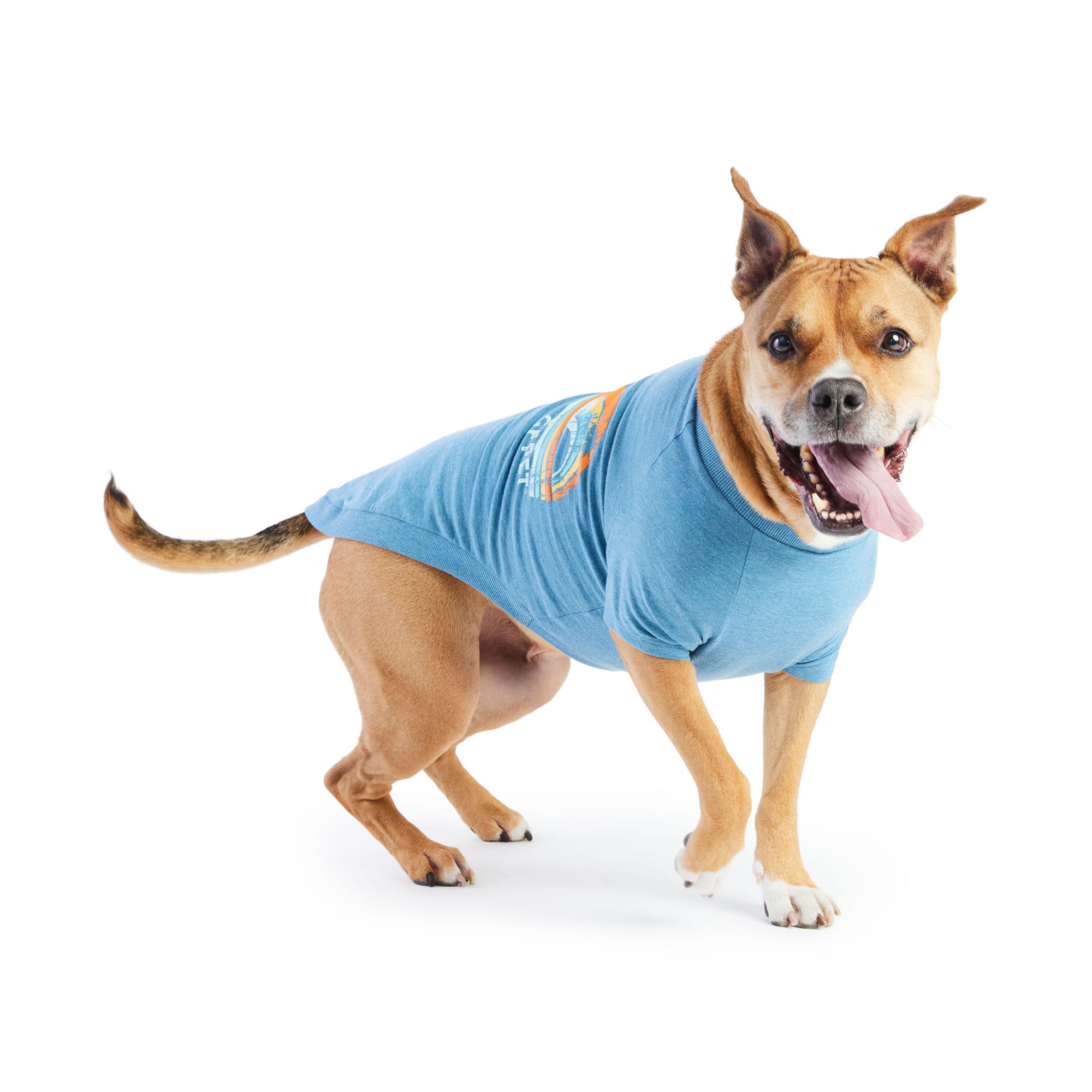 GF PET® Vintage Graphic Tee - Blue (Sporty Summer Base Layer)