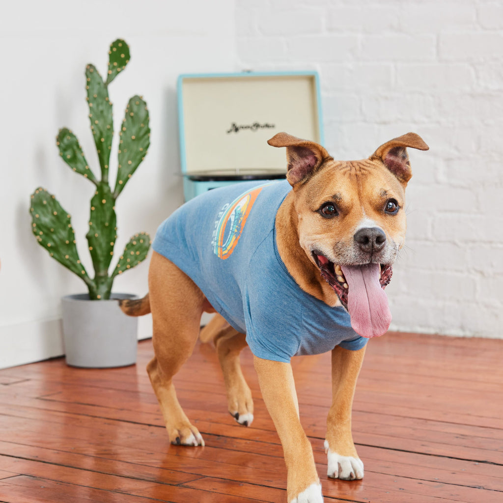 GF PET® Vintage Graphic Tee - Blue (Sporty Summer Base Layer)