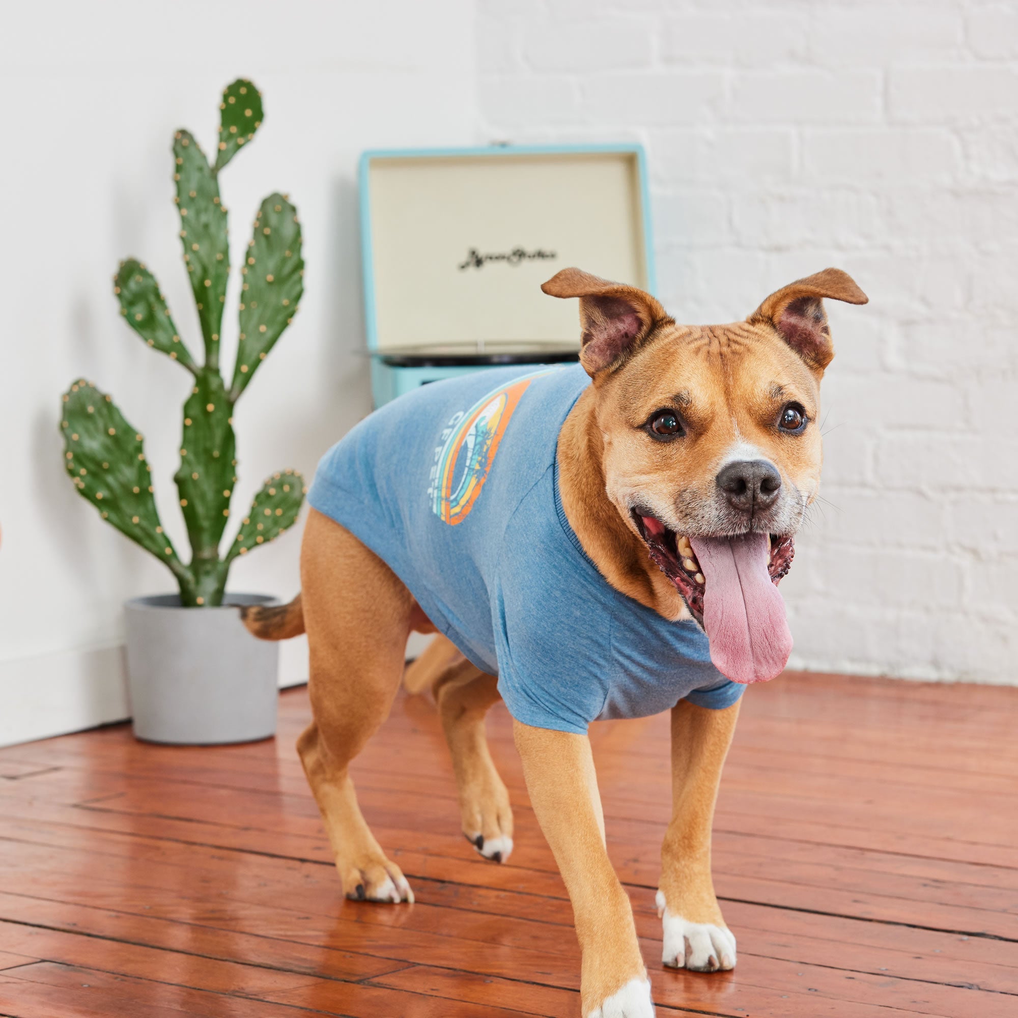 GF PET® Vintage Graphic Tee - Blue (Sporty Summer Base Layer)