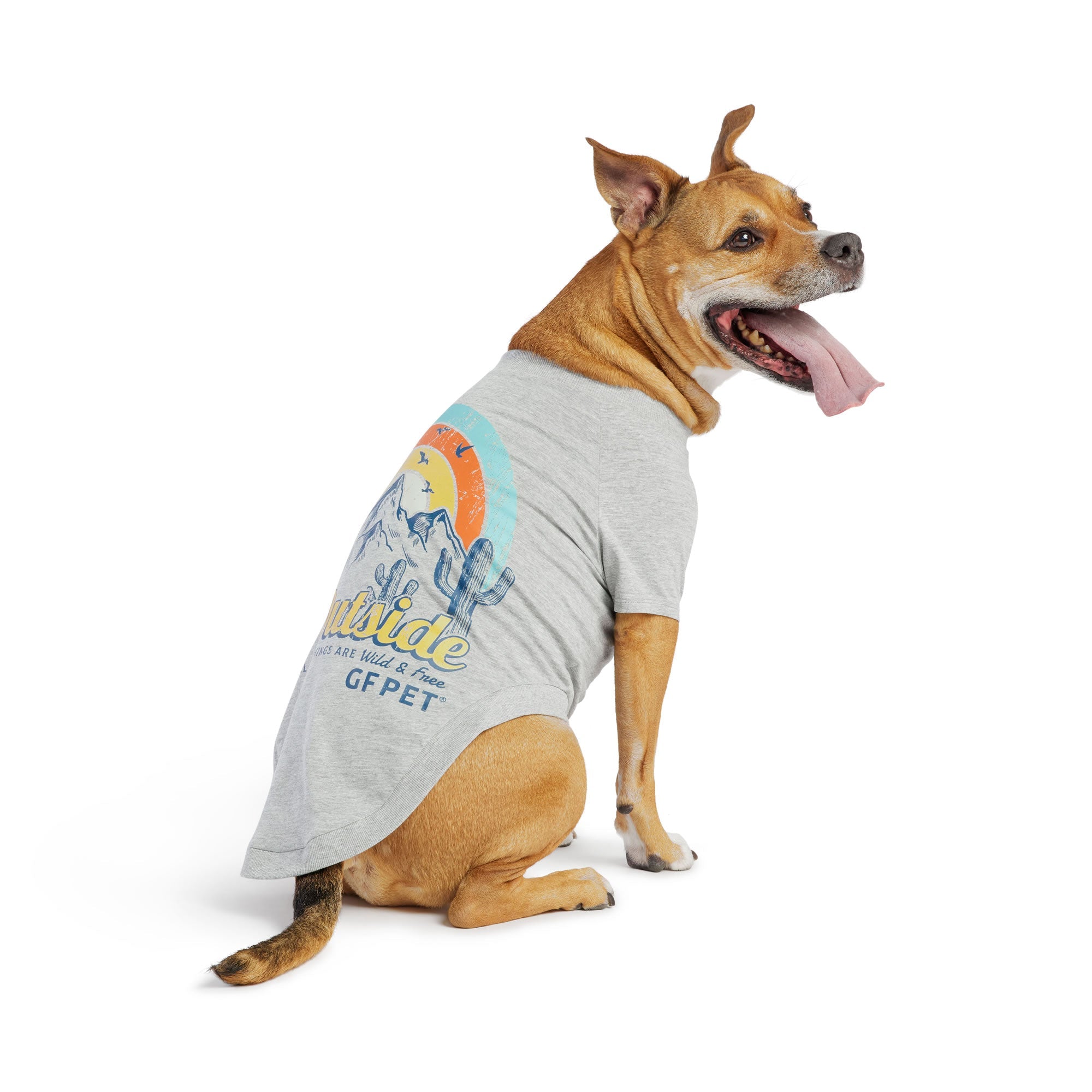 GF PET® Vintage Graphic Tee - Grey (Sporty Summer Base Layer)