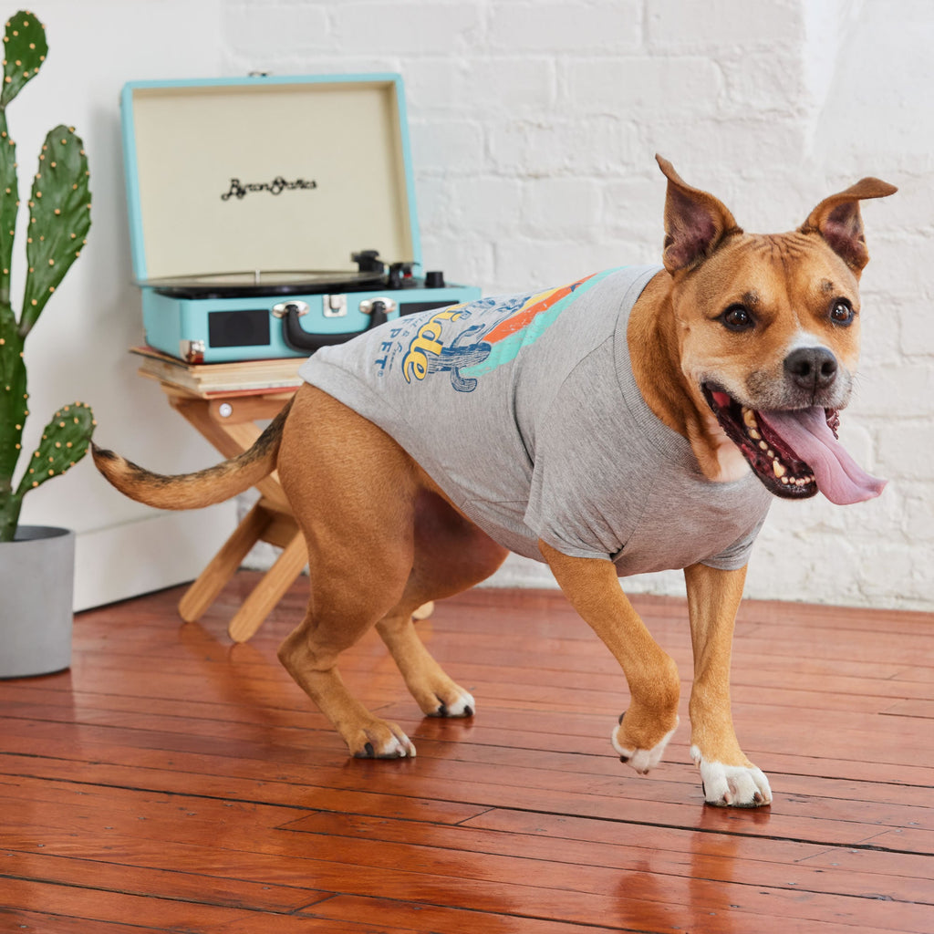 GF PET® Vintage Graphic Tee - Grey (Sporty Summer Base Layer)