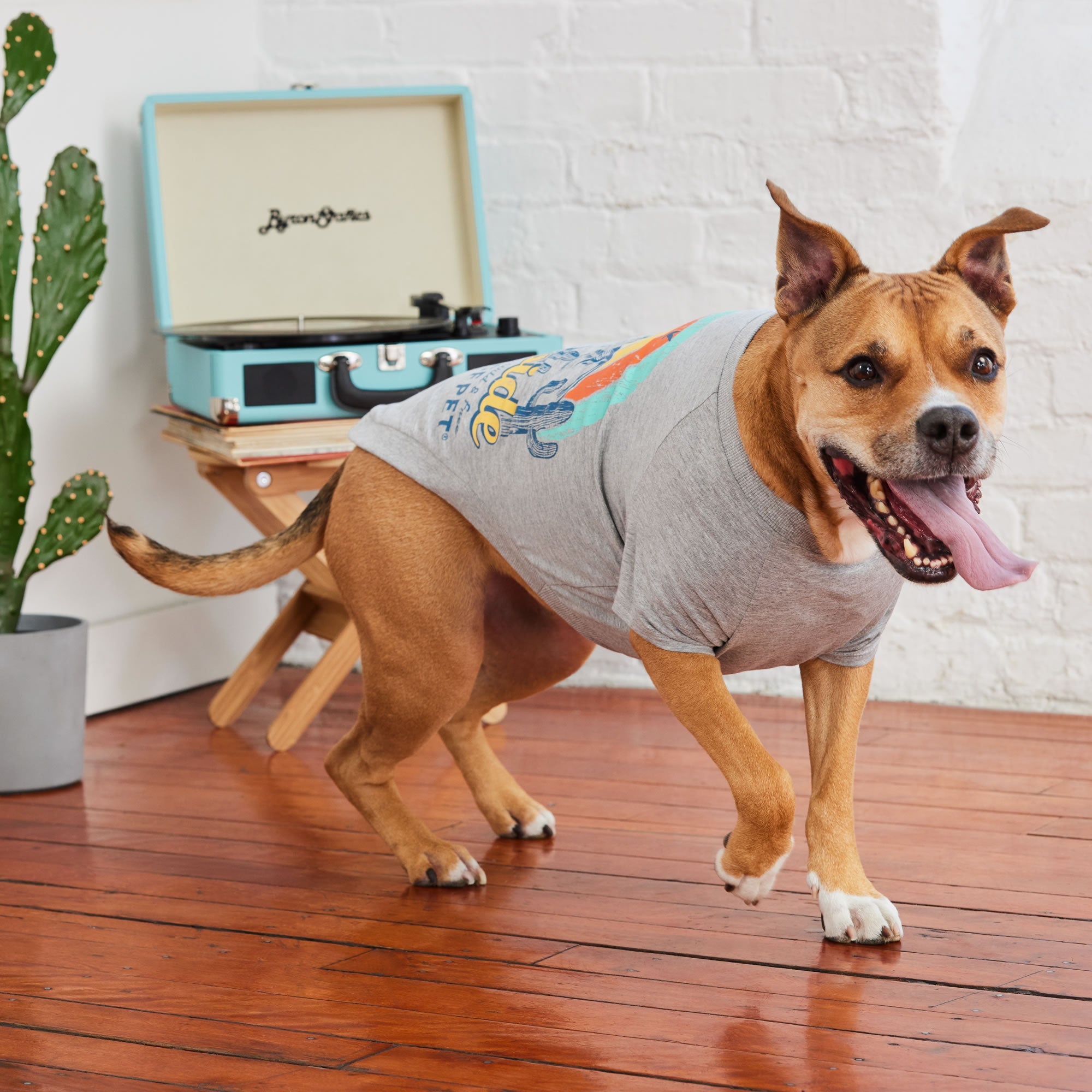 GF PET® Vintage Graphic Tee - Grey (Sporty Summer Base Layer)