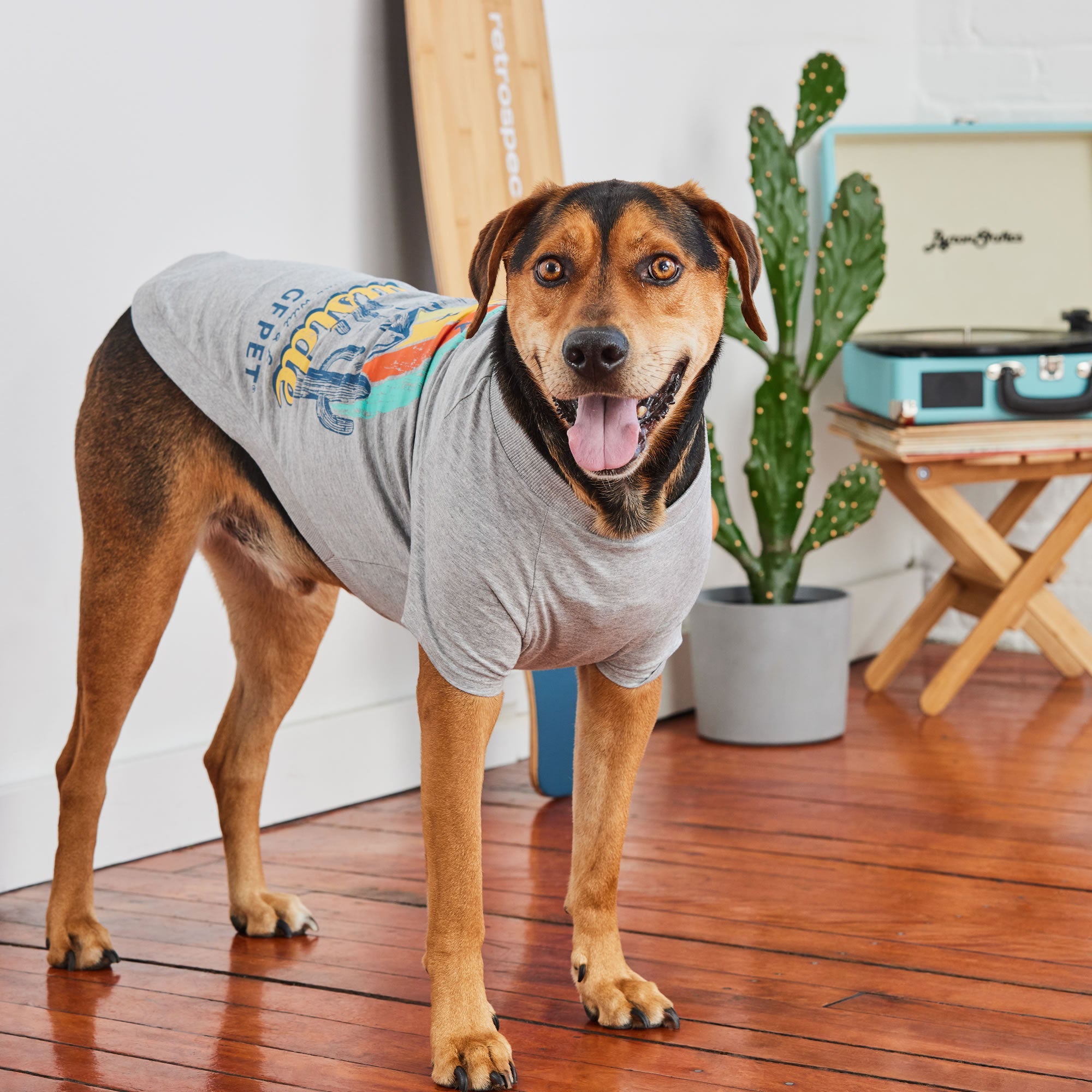 GF PET® Vintage Graphic Tee - Grey (Sporty Summer Base Layer)