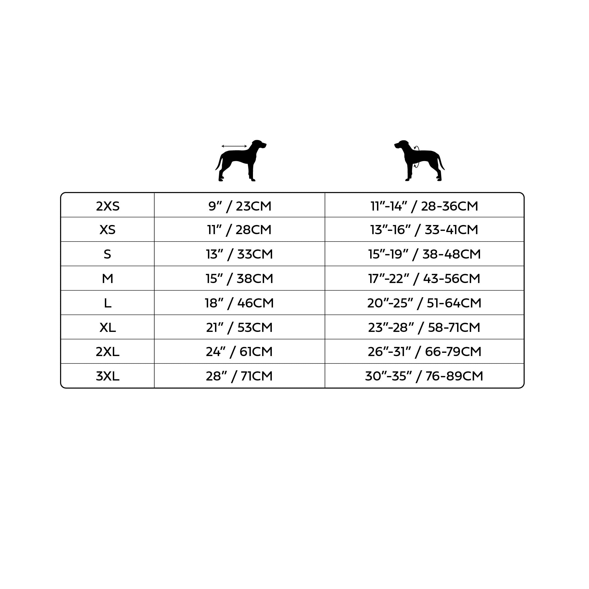 GF PET® Vintage Graphic Tee - Grey (Sporty Summer Base Layer)