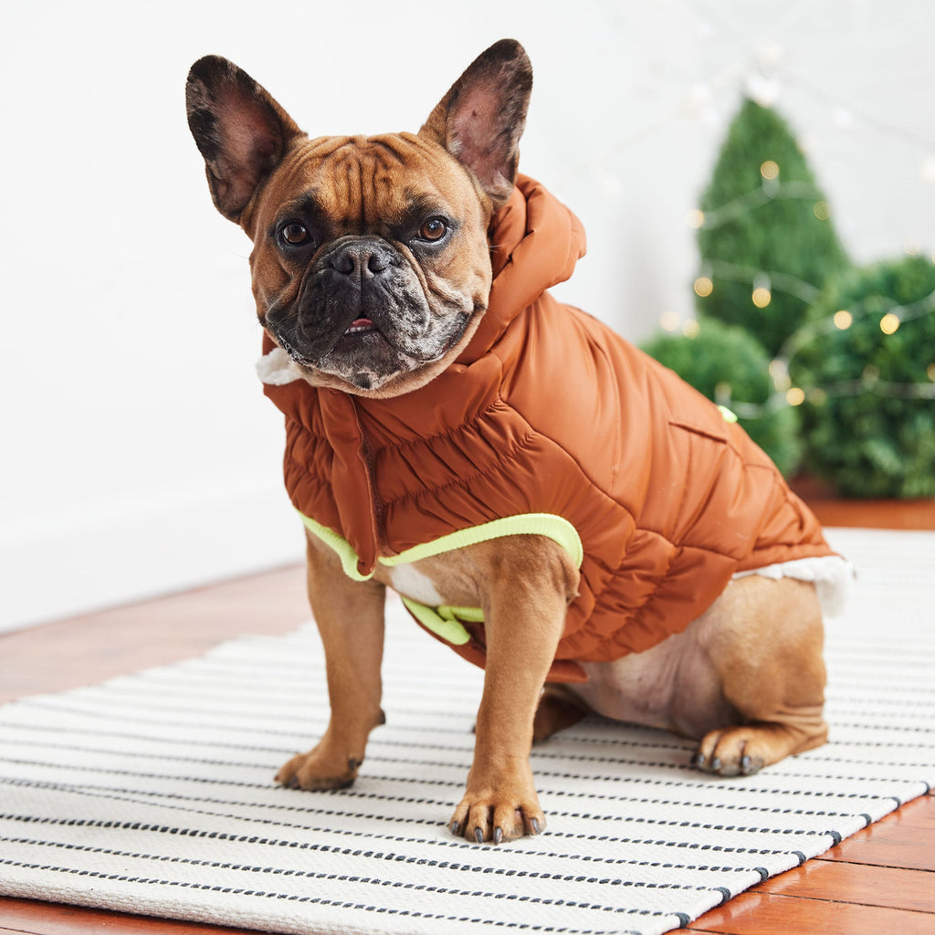 GF PET® Elasto-Fit Puff Parka - Hazel (Luxurious Winter Warmth)