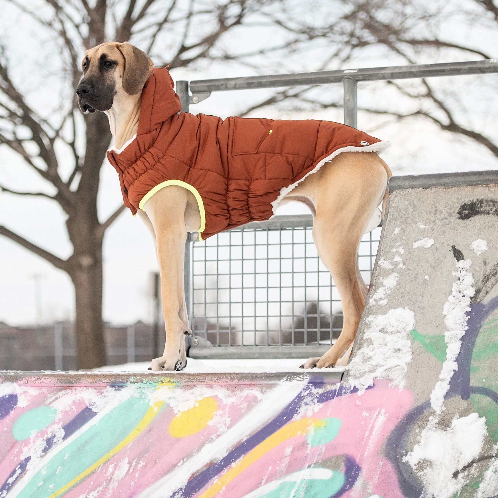 GF PET® Elasto-Fit Puff Parka - Hazel (Luxurious Winter Warmth)