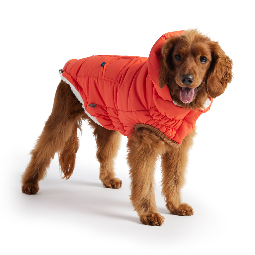 GF PET® Elasto-Fit Puff Parka - Orange (Luxurious Winter Warmth)