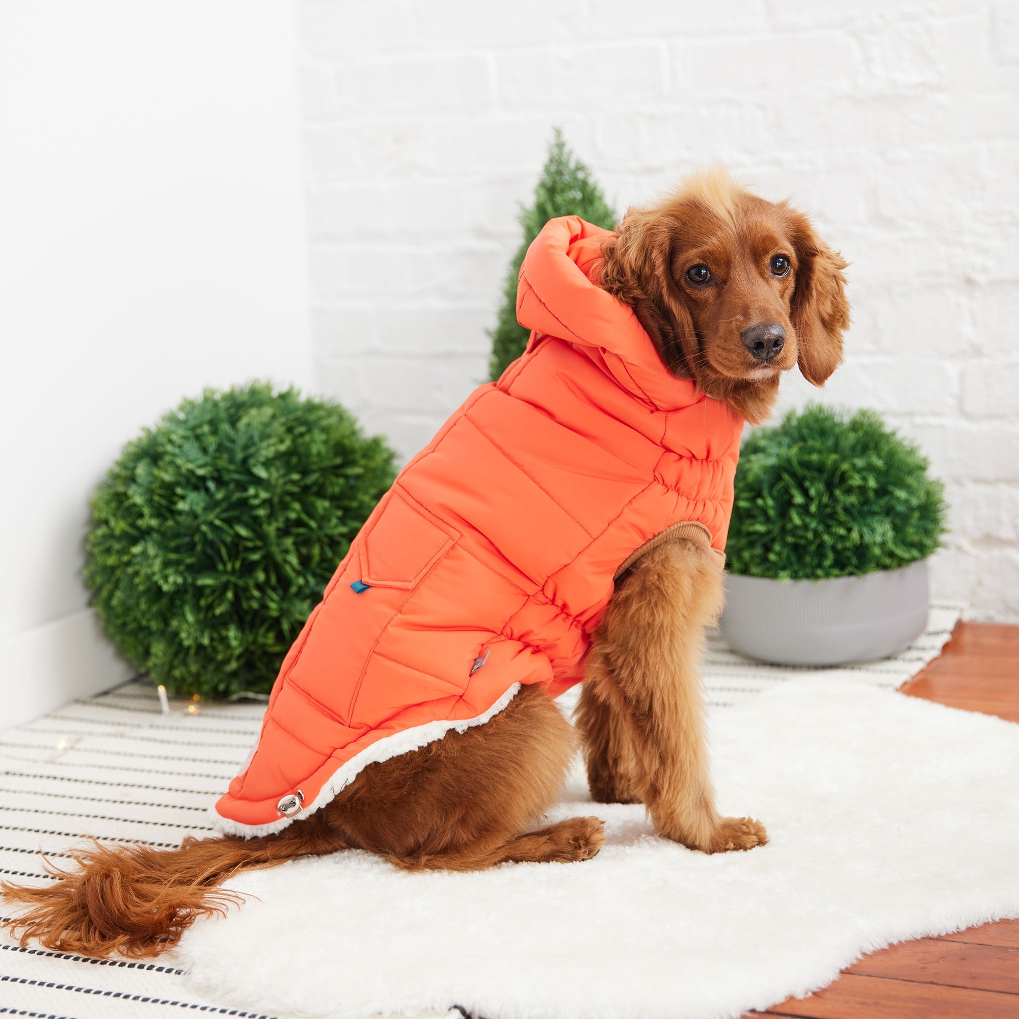 GF PET® Elasto-Fit Puff Parka - Orange (Luxurious Winter Warmth)