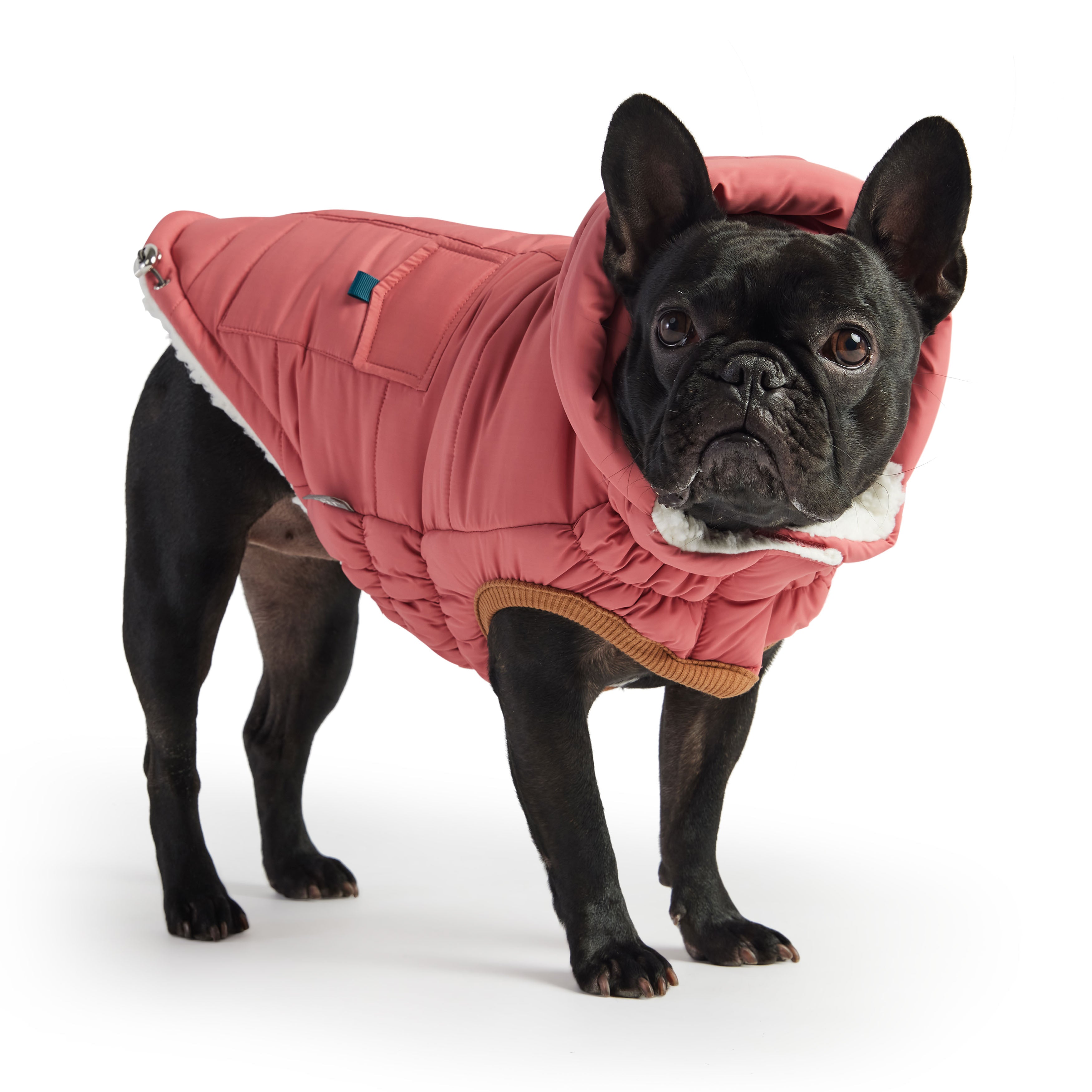 GF PET® Elasto-Fit Puff Parka - Pink (Luxurious Warmth)