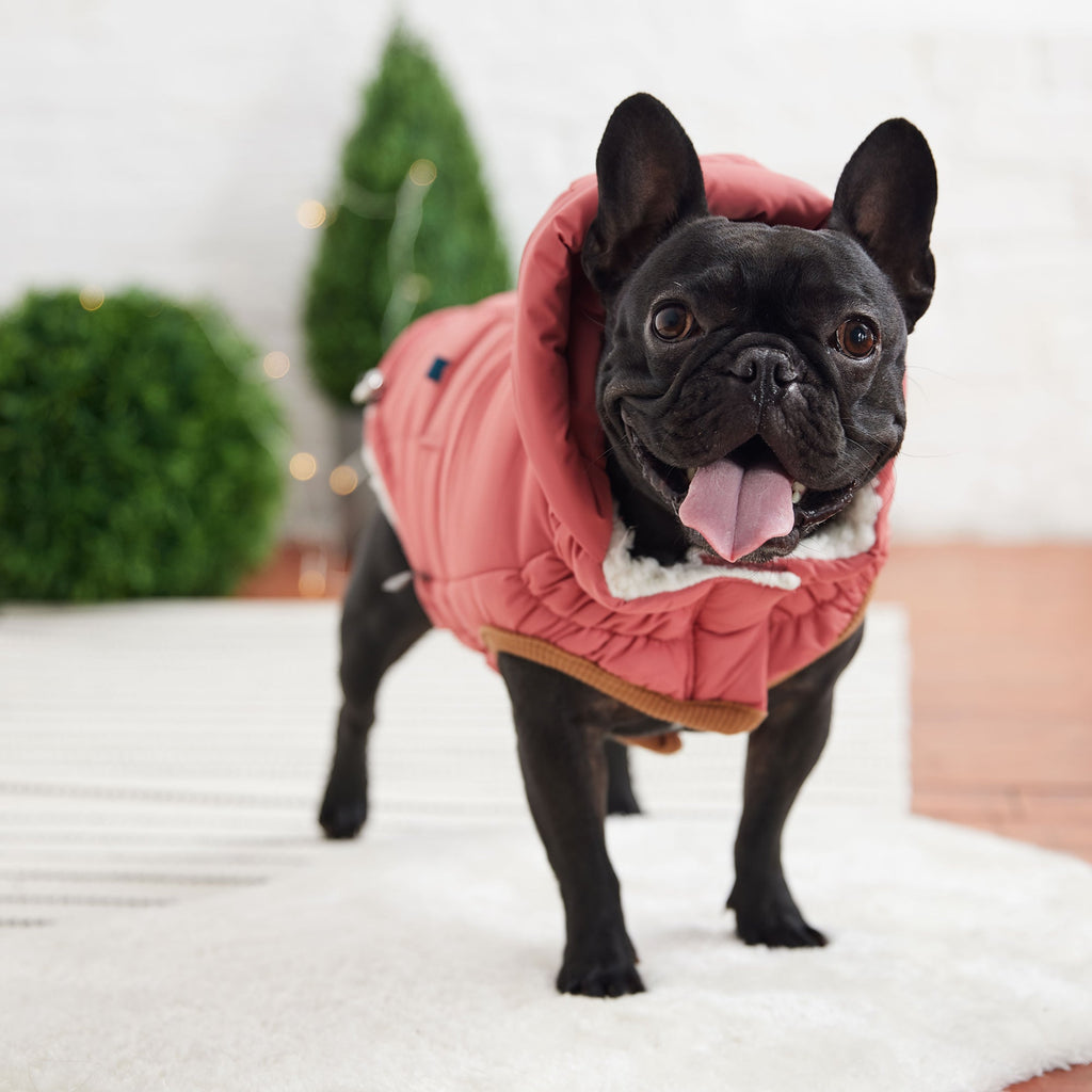 GF PET® Elasto-Fit Puff Parka - Pink (Luxurious Warmth)