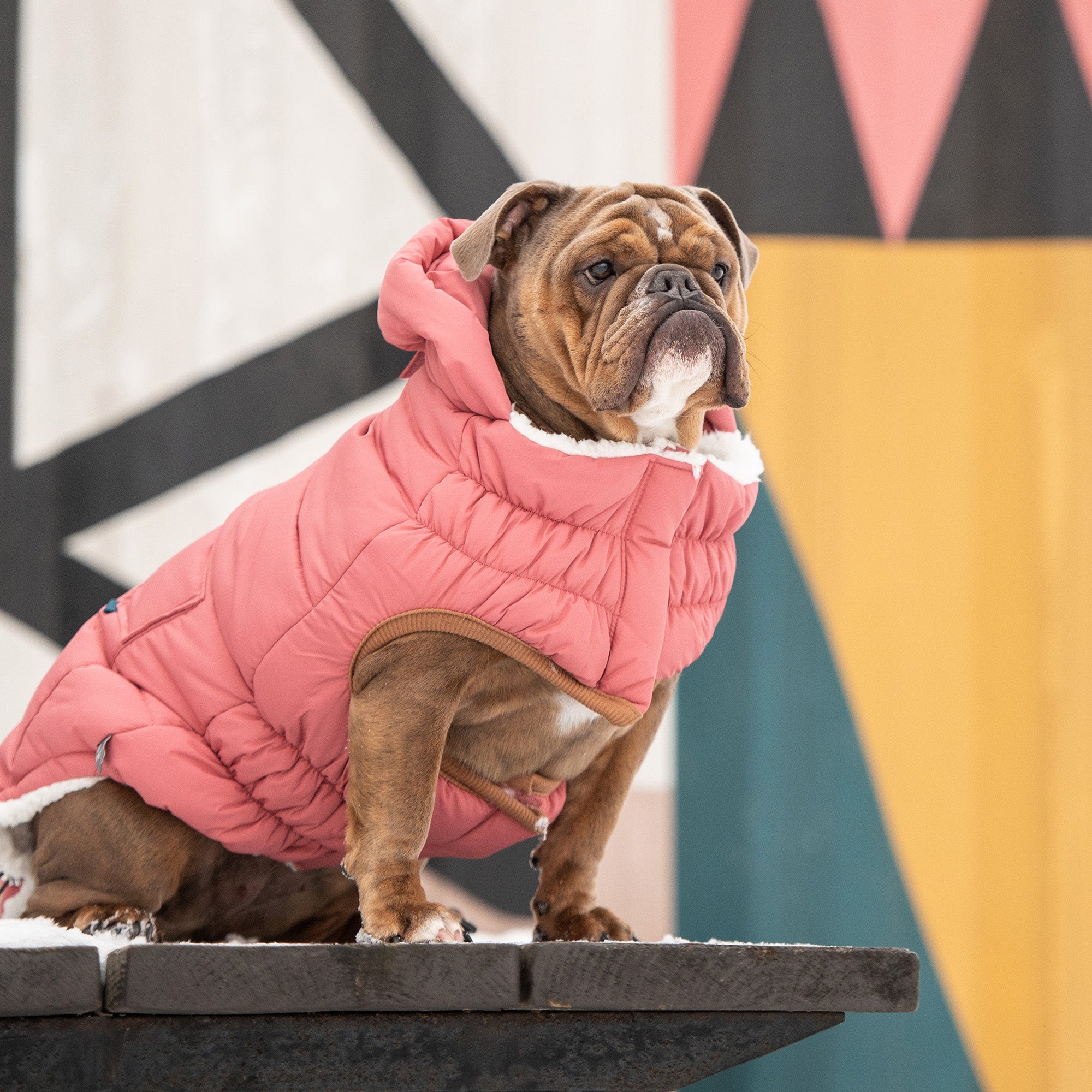 GF PET® Elasto-Fit Puff Parka - Pink (Luxurious Warmth)