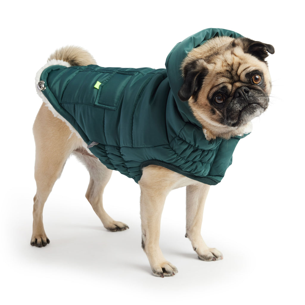 GF PET® Elasto-Fit Puff Parka - Teal (Luxurious Winter Comfort)