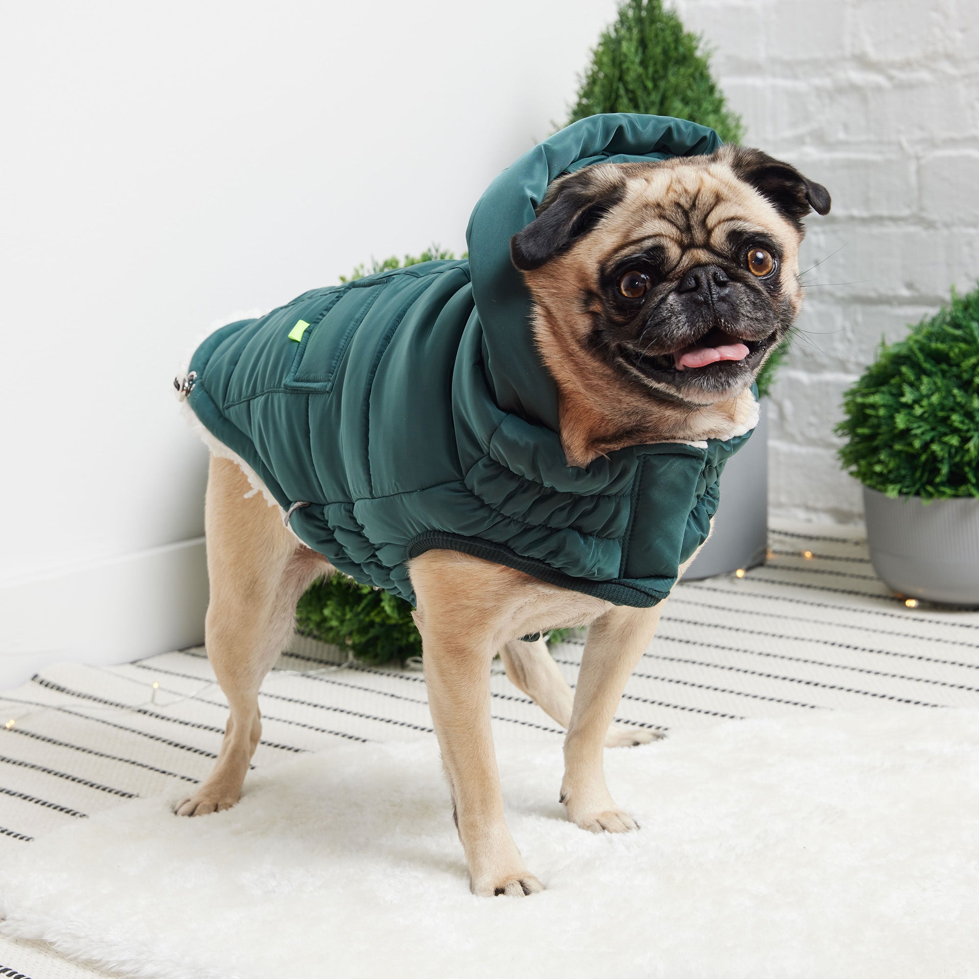 GF PET® Elasto-Fit Puff Parka - Teal (Luxurious Winter Comfort)