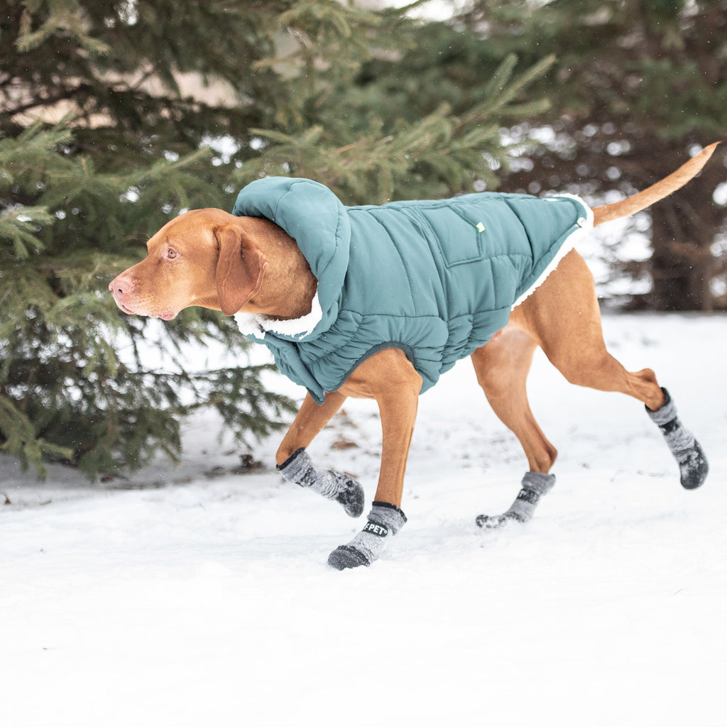 GF PET® Elasto-Fit Puff Parka - Teal (Luxurious Winter Comfort)