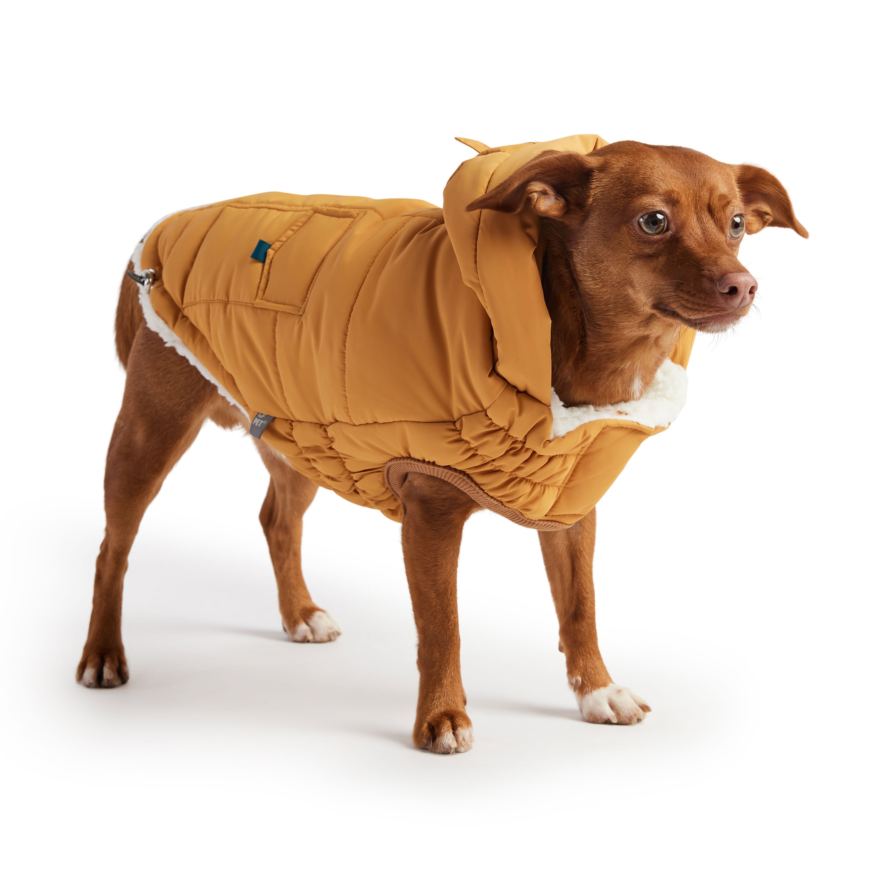 GF PET® Elasto-Fit Puff Parka - Yellow (Luxurious Winter Warmth)
