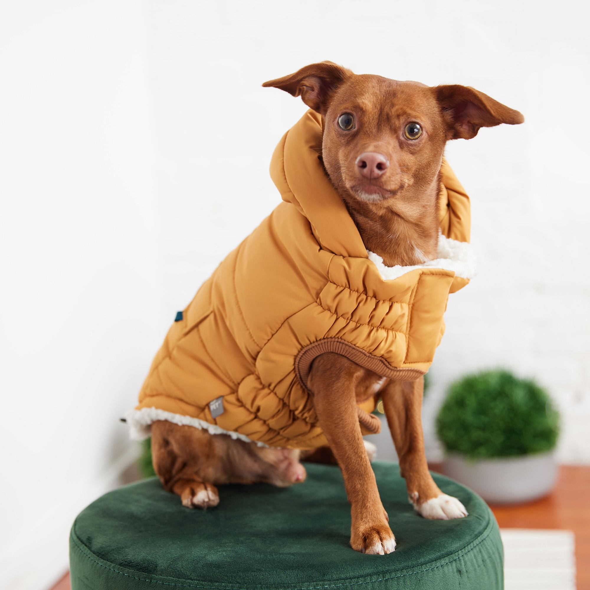 GF PET® Elasto-Fit Puff Parka - Yellow (Luxurious Winter Warmth)