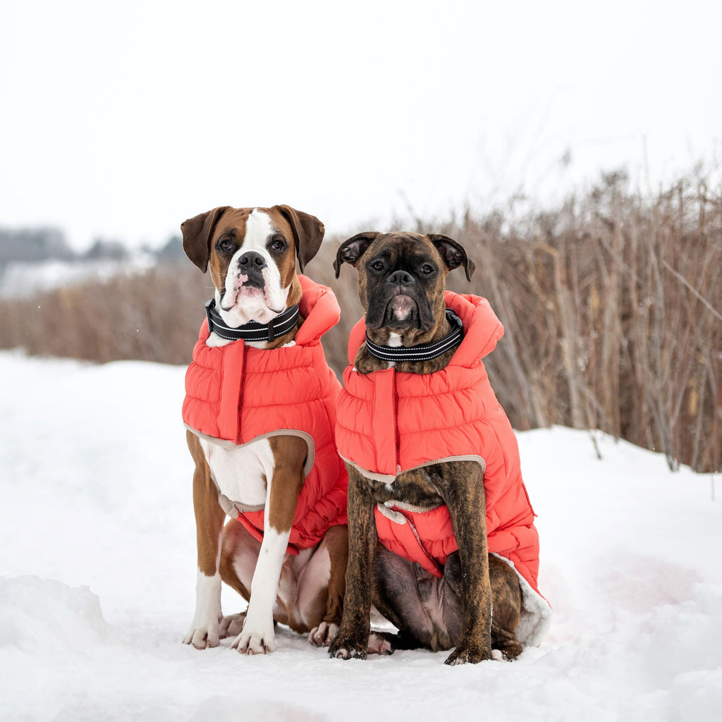 GF PET® Elasto-Fit InFiber™ Nordic Parka - Premium Winter Protection