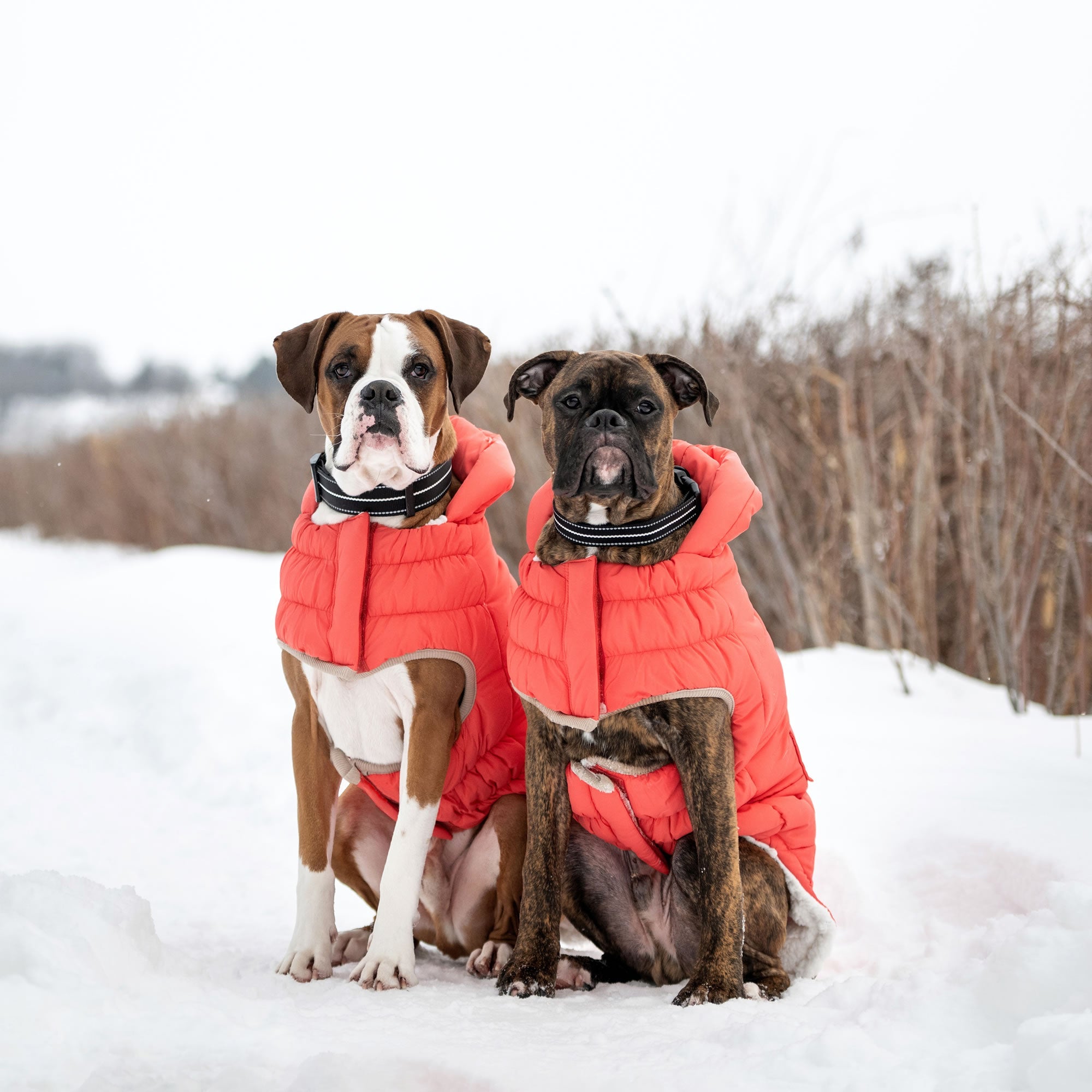 GF PET® Elasto-Fit InFiber™ Nordic Parka - Premium Winter Protection