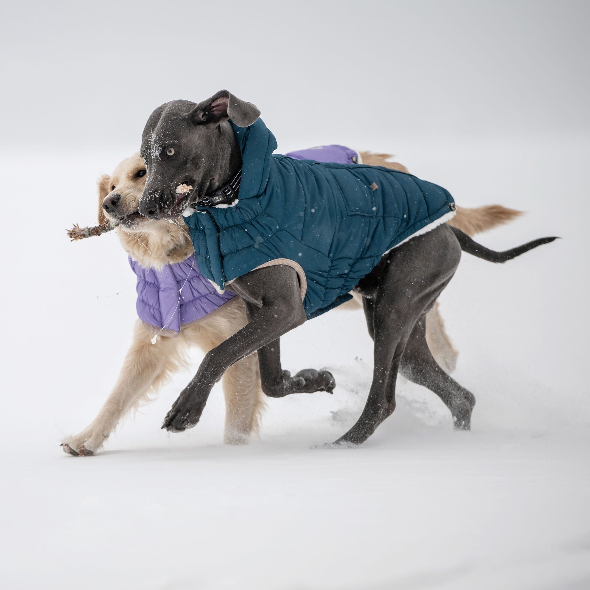 GF PET® Elasto-Fit InFiber™ Nordic Parka - Premium Winter Protection