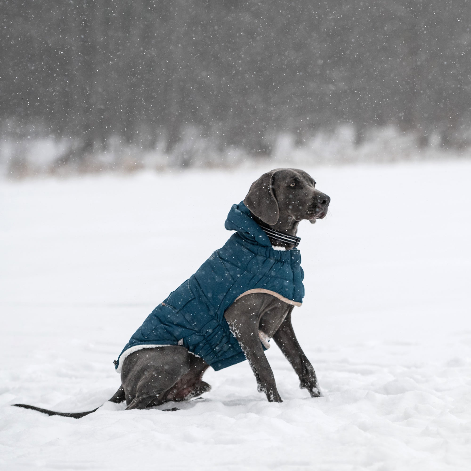 GF PET® Elasto-Fit InFiber™ Nordic Parka - Premium Winter Protection