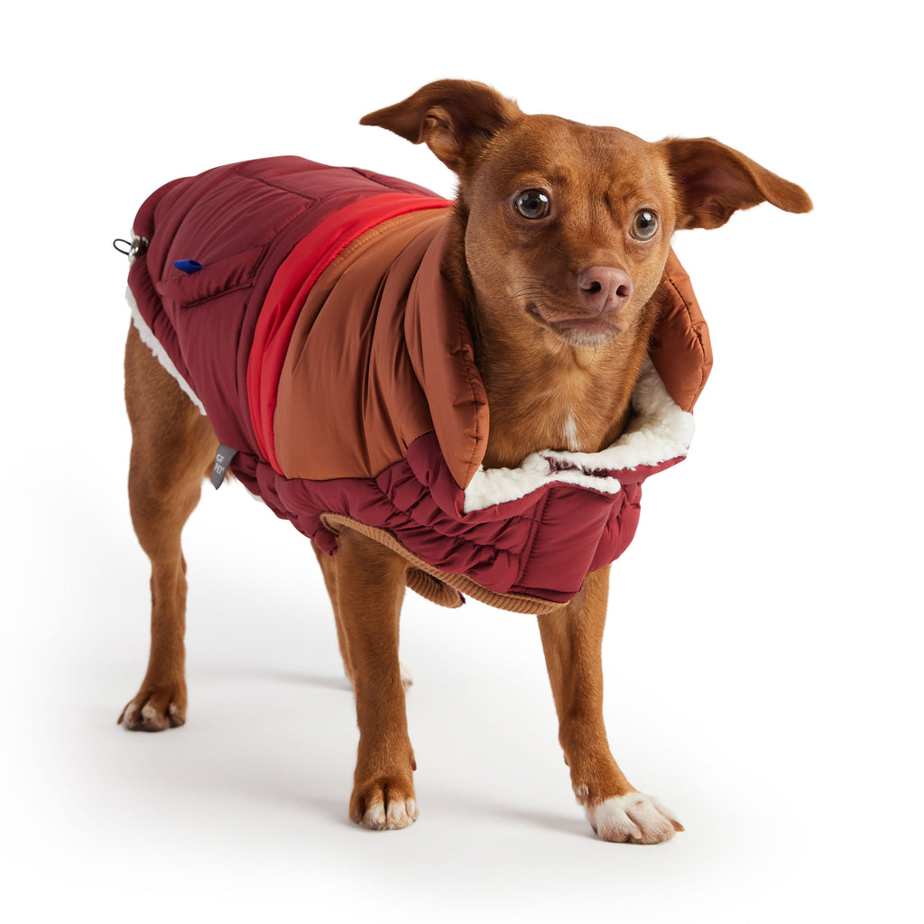 GF PET® Elasto-Fit Retro Puffer - Dark Red (Ultra Puff Construction)