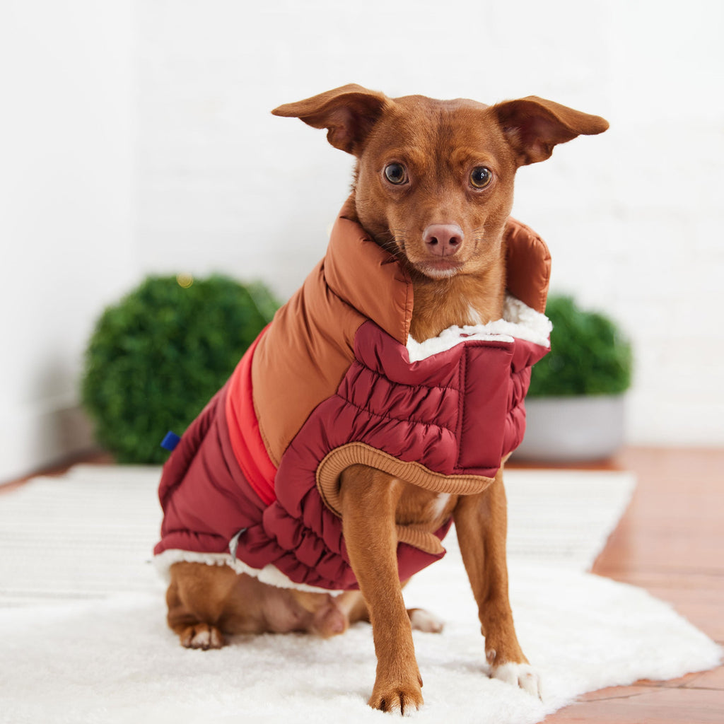 GF PET® Elasto-Fit Retro Puffer - Dark Red (Ultra Puff Construction)
