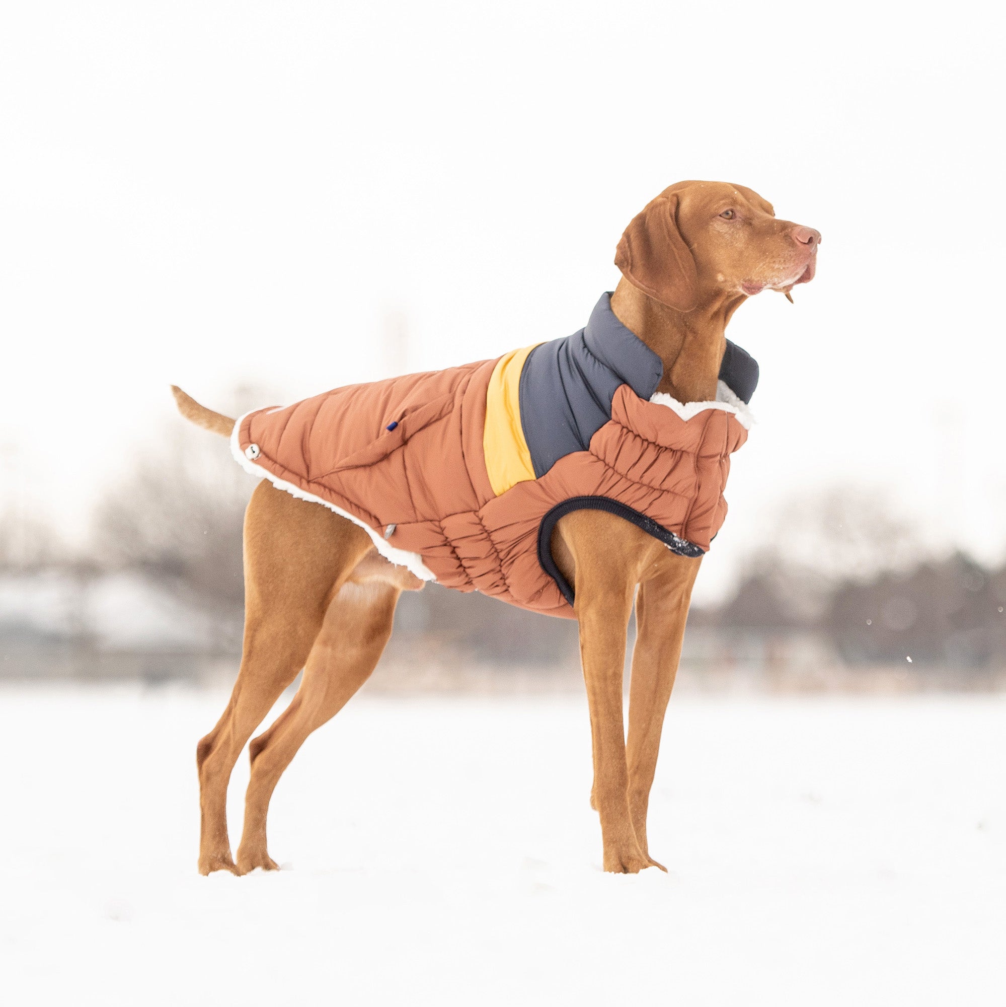 GF PET® Elasto-Fit Retro Puffer - Hazel (Ultra Puff Construction)
