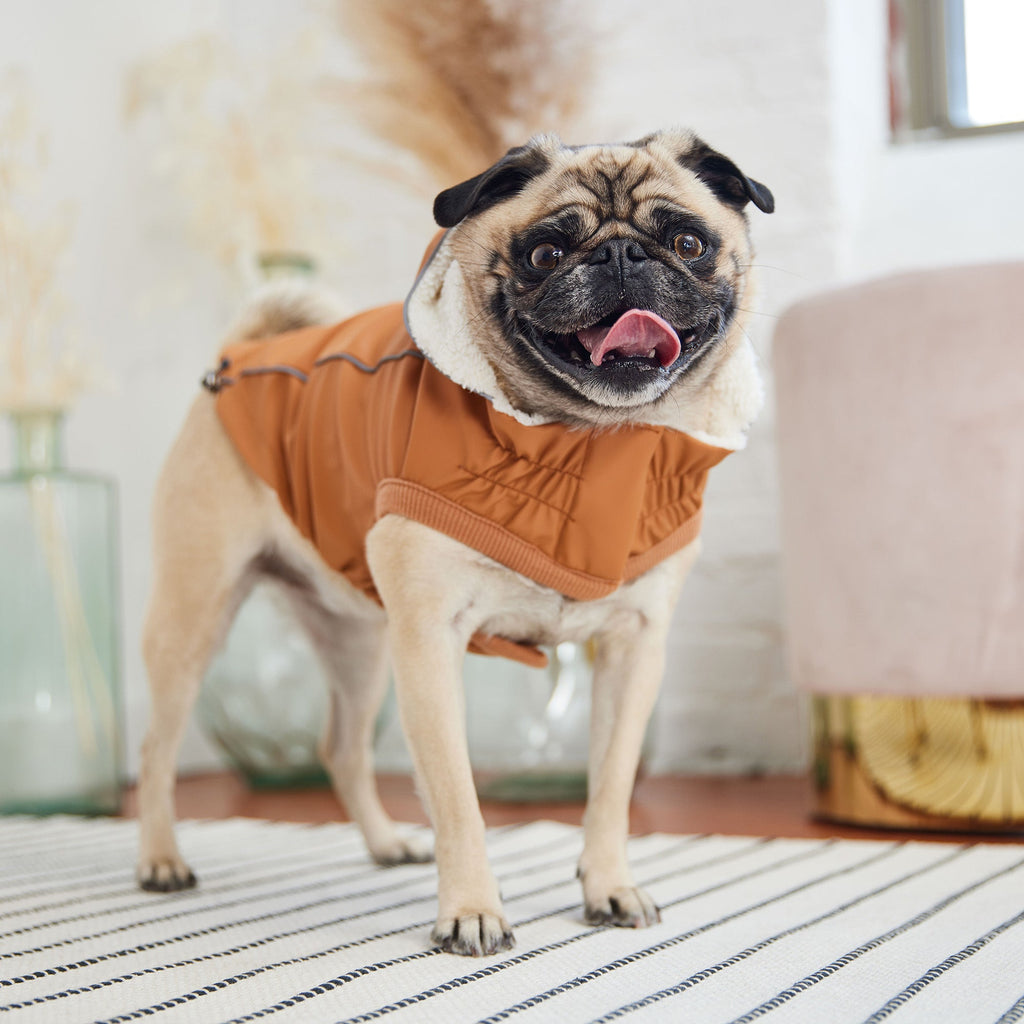 GF PET® Elasto-Fit Insulated Raincoat - Hazel (Sherpa Lined Luxury)